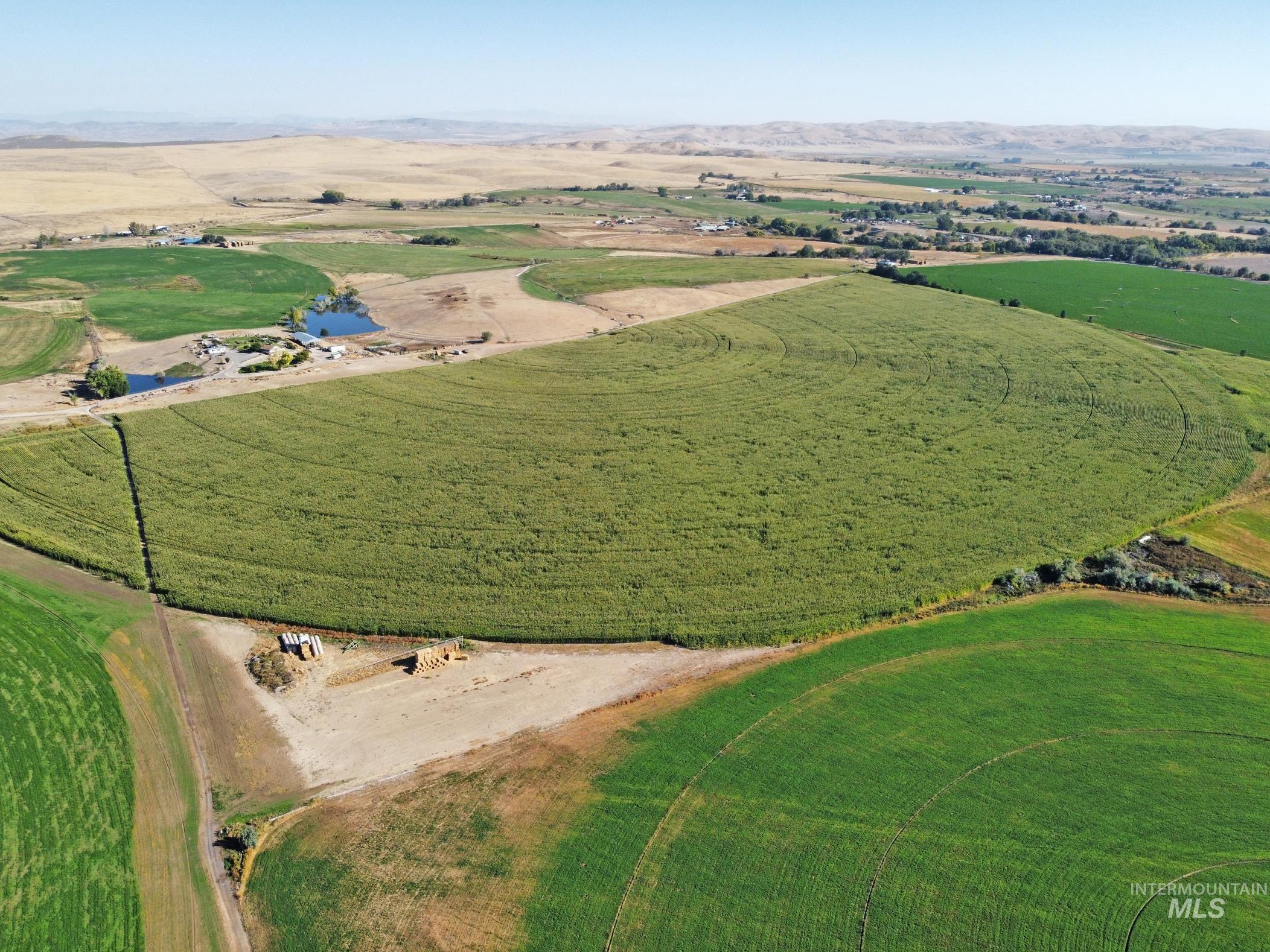 3850 Greenfield Road, Vale, Oregon 97918, 3 Bedrooms, 2 Bathrooms, Farm & Ranch For Sale, Price $5,900,000,MLS 98975853