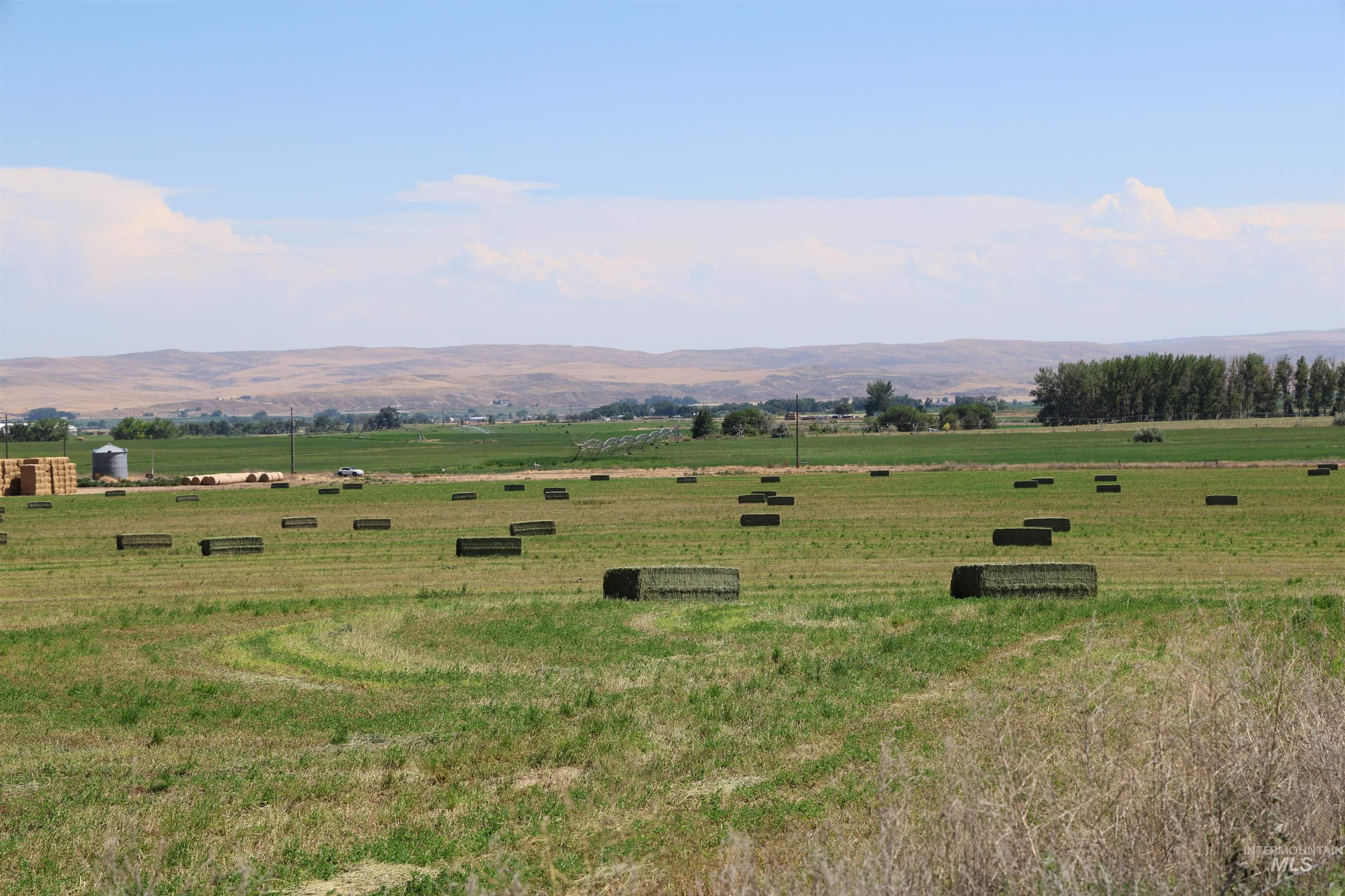 3850 Greenfield Road, Vale, Oregon 97918, 3 Bedrooms, 2 Bathrooms, Farm & Ranch For Sale, Price $5,900,000,MLS 98975853