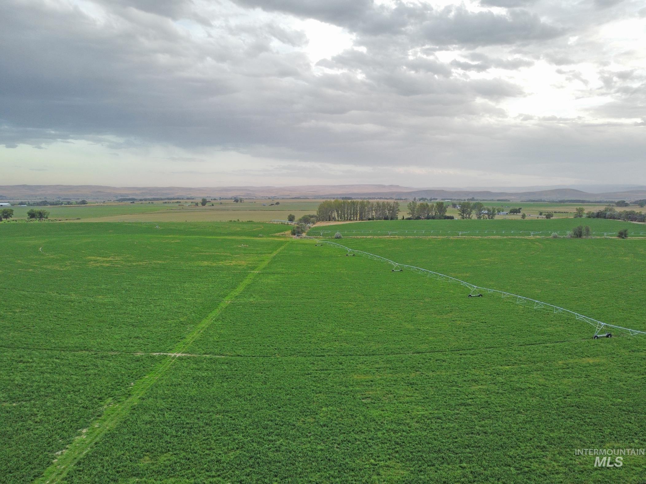 3850 Greenfield Road, Vale, Oregon 97918, 3 Bedrooms, 2 Bathrooms, Farm & Ranch For Sale, Price $6,500,000, 98975853