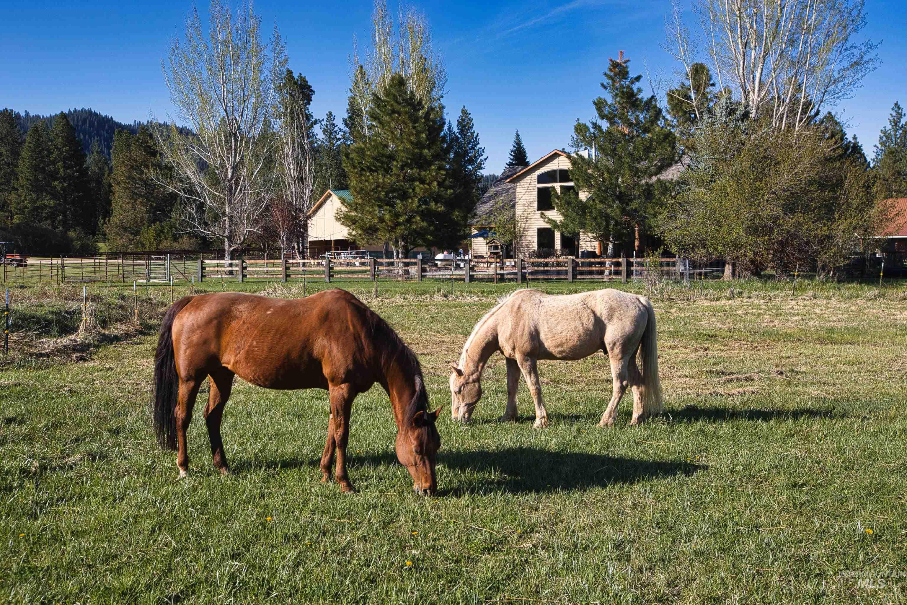 15 Skyline Lane, Garden Valley, Idaho 83622, 3 Bedrooms, 3 Bathrooms, Residential For Sale, Price $975,000, 98975887