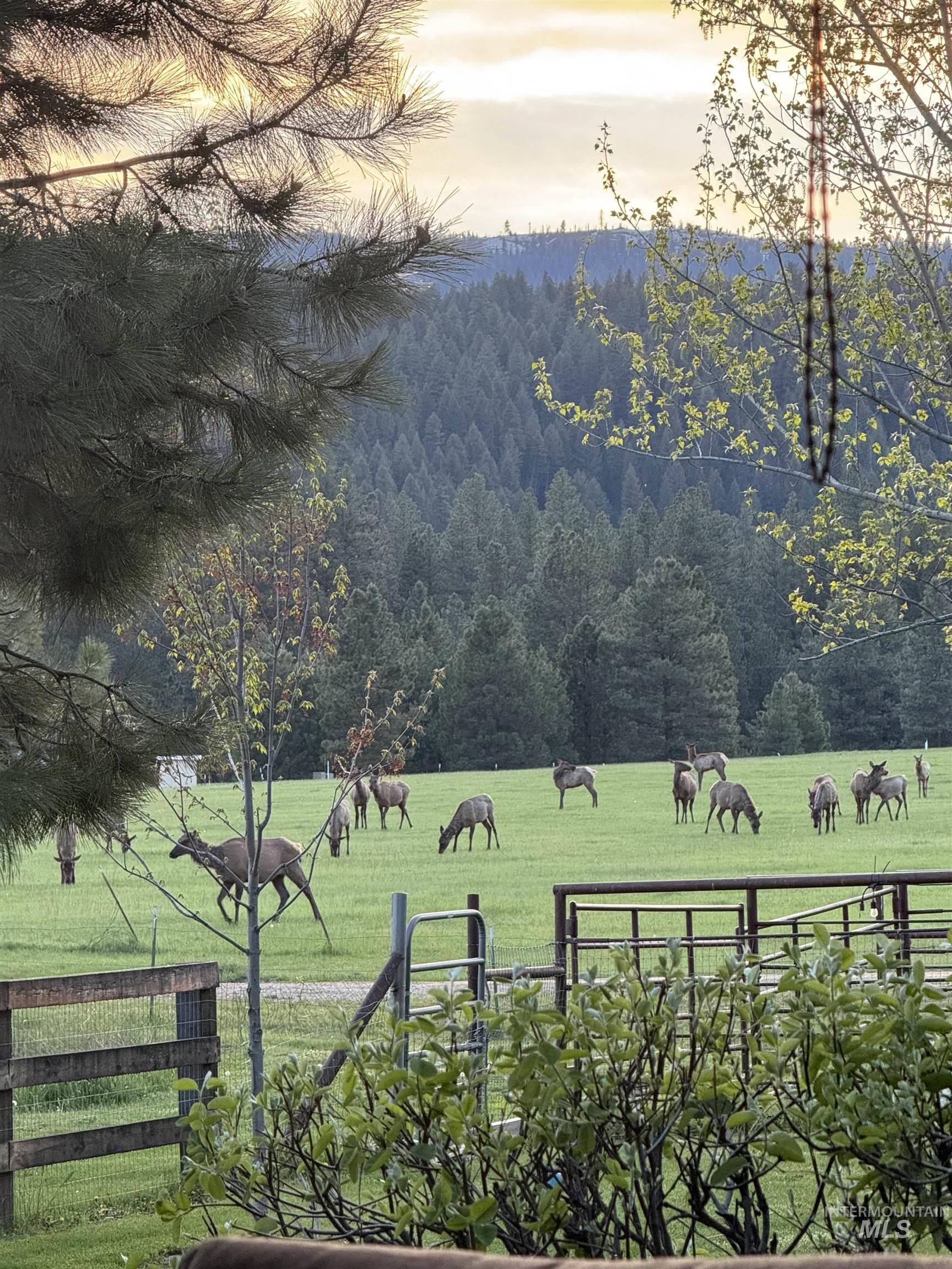 15 Skyline Lane, Garden Valley, Idaho 83622, 3 Bedrooms, 3 Bathrooms, Residential For Sale, Price $975,000, 98975887