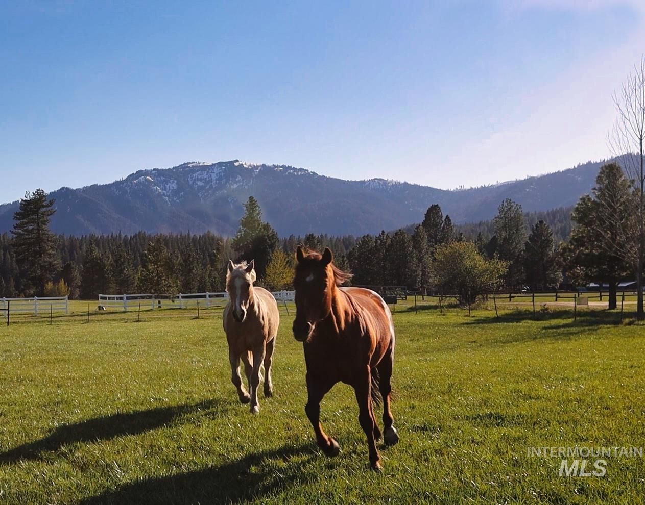 15 Skyline Lane, Garden Valley, Idaho 83622, 3 Bedrooms, 3 Bathrooms, Residential For Sale, Price $975,000, 98975887