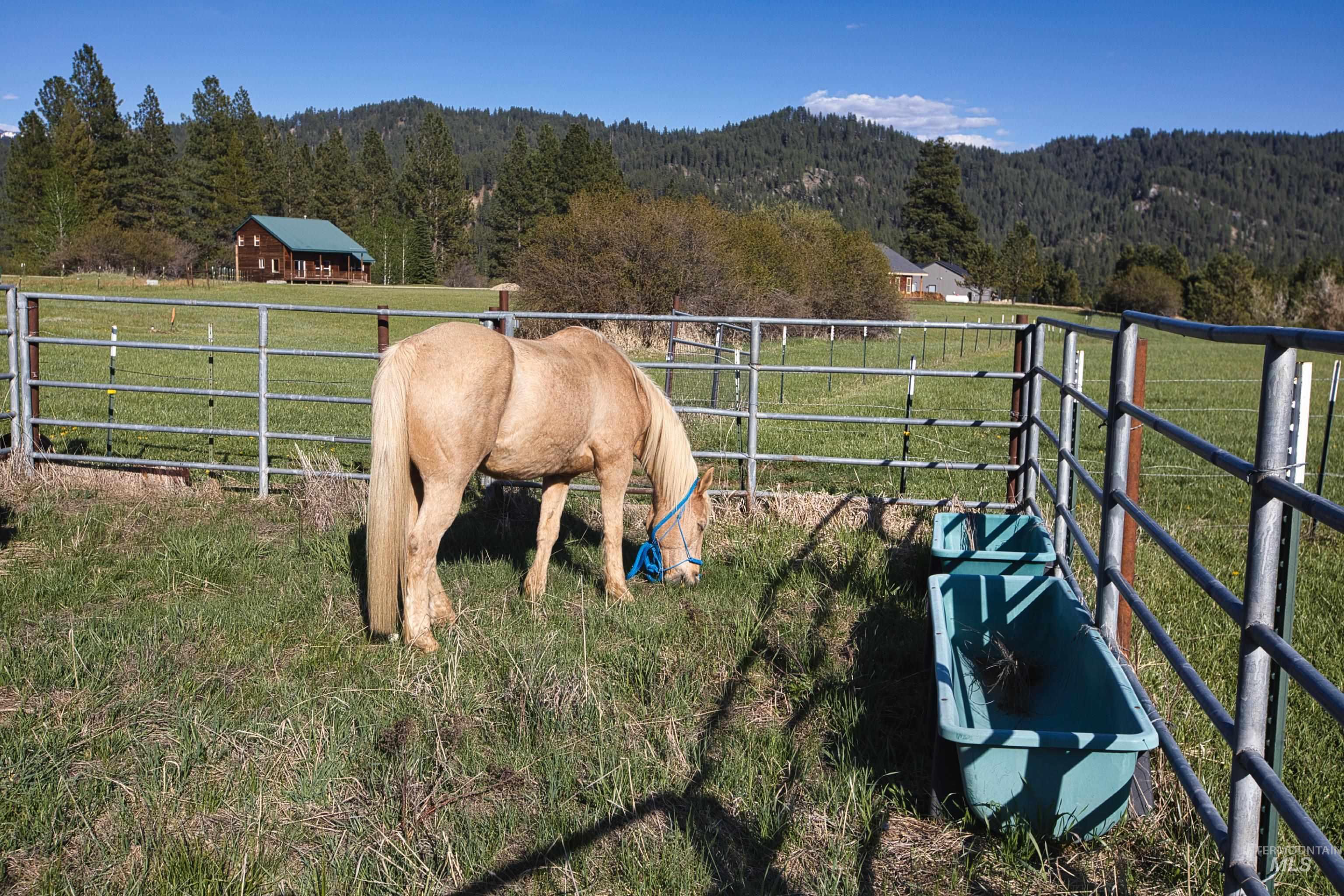 15 Skyline Lane, Garden Valley, Idaho 83622, 3 Bedrooms, 3 Bathrooms, Residential For Sale, Price $975,000, 98975887