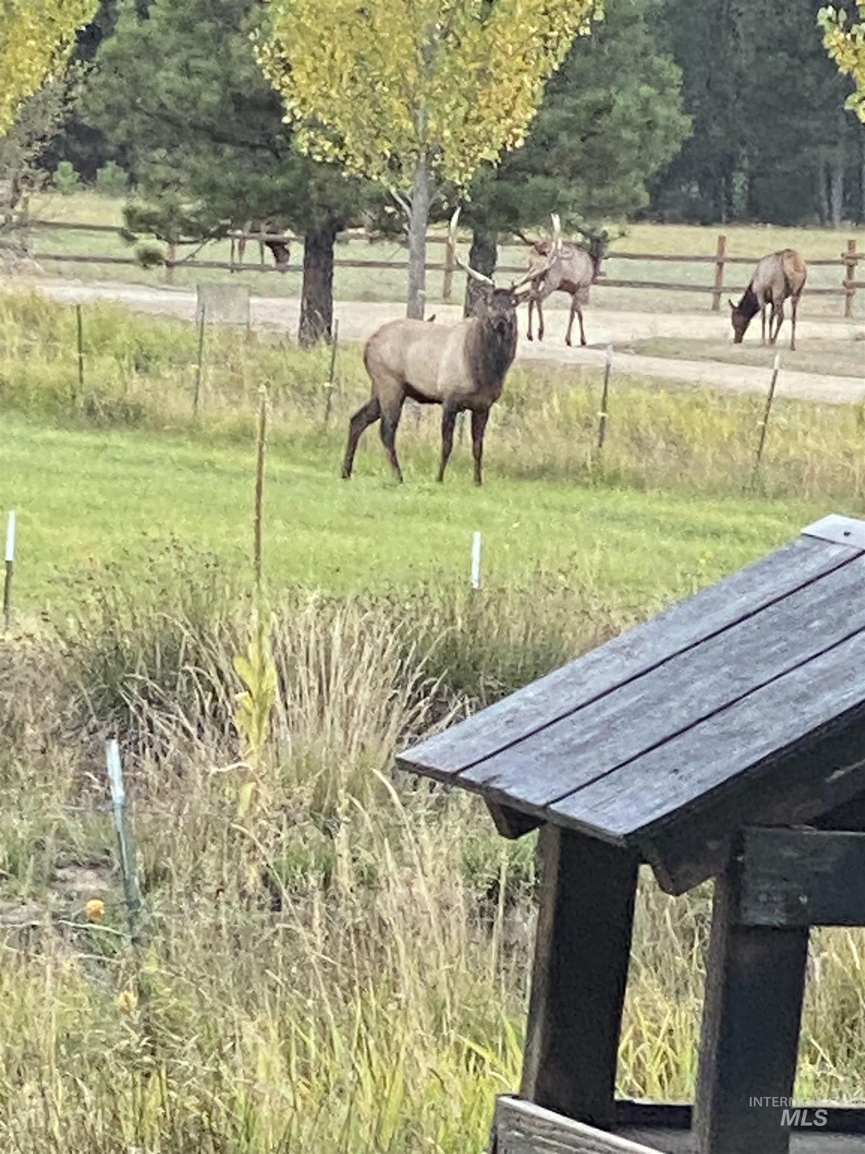 15 Skyline Lane, Garden Valley, Idaho 83622, 3 Bedrooms, 3 Bathrooms, Residential For Sale, Price $975,000, 98975887