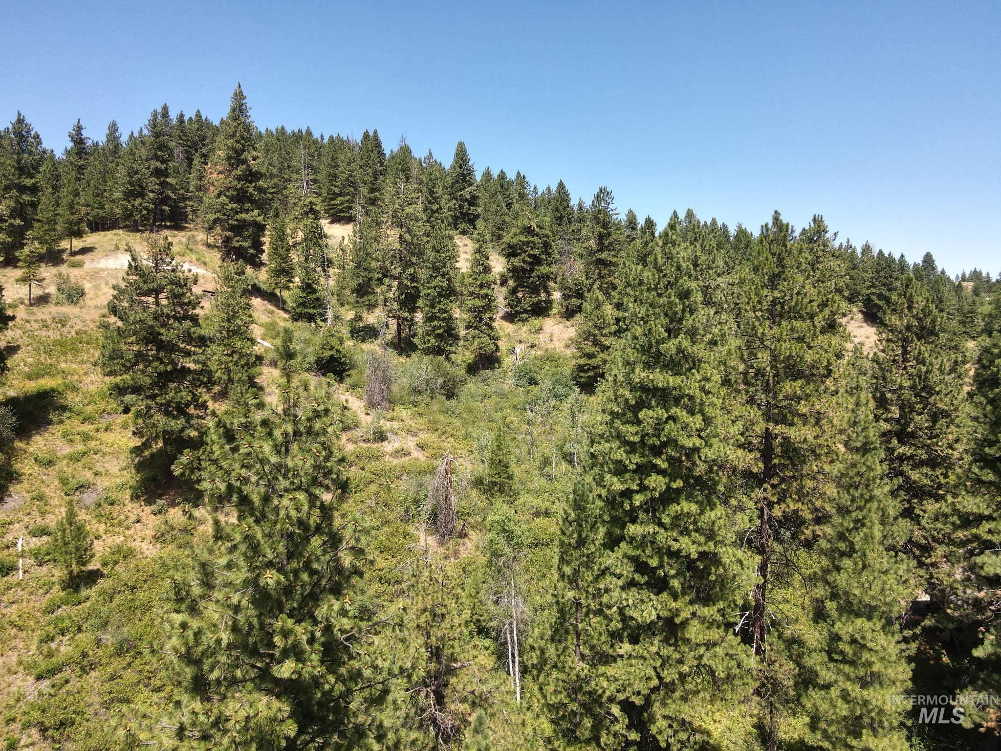 Lot 165b Johnson Creek, Boise, Idaho 83716, Land For Sale, Price $134,000,MLS 98975889