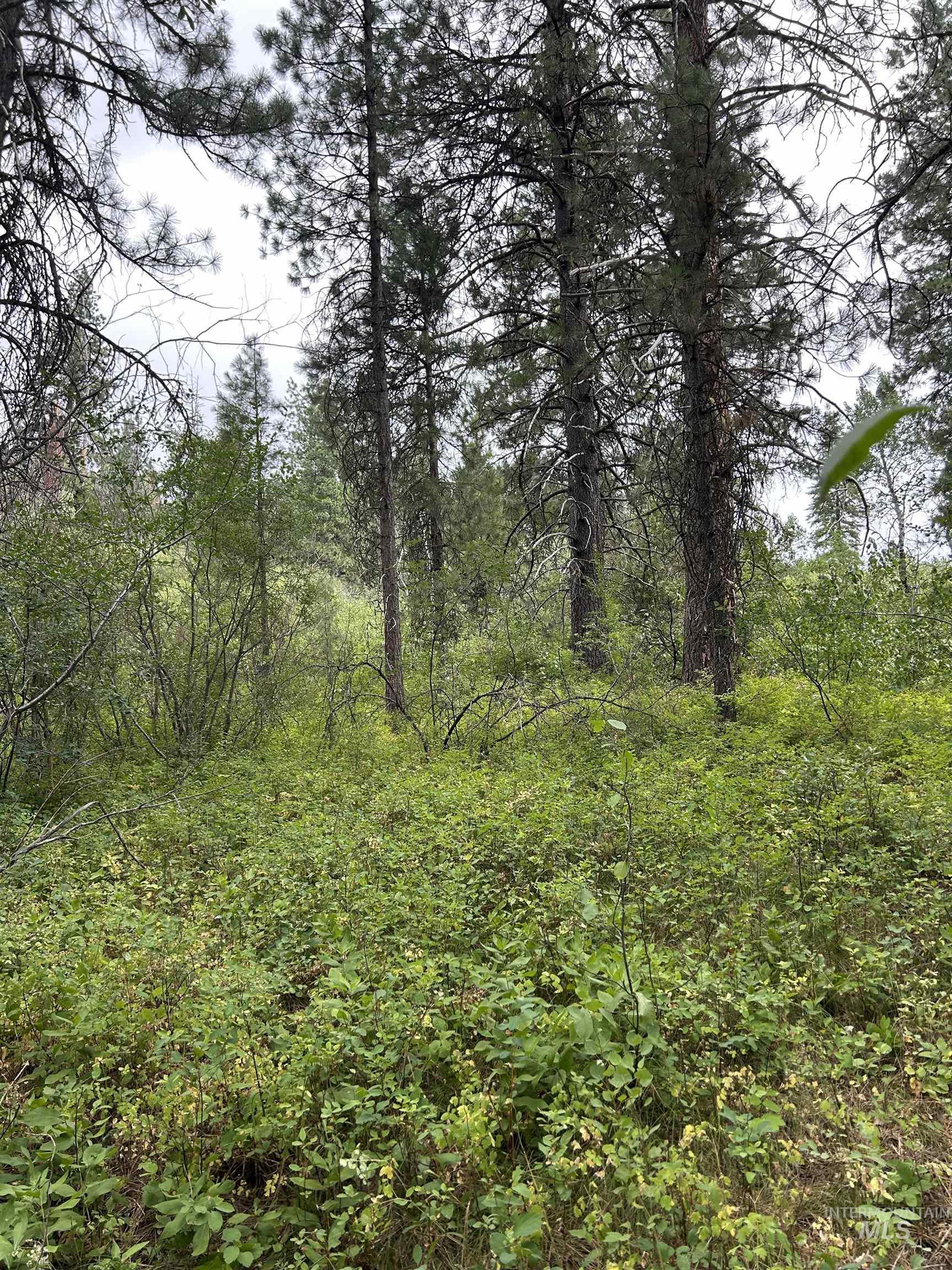 Lot 165b Johnson Creek, Boise, Idaho 83716, Land For Sale, Price $134,000,MLS 98975889