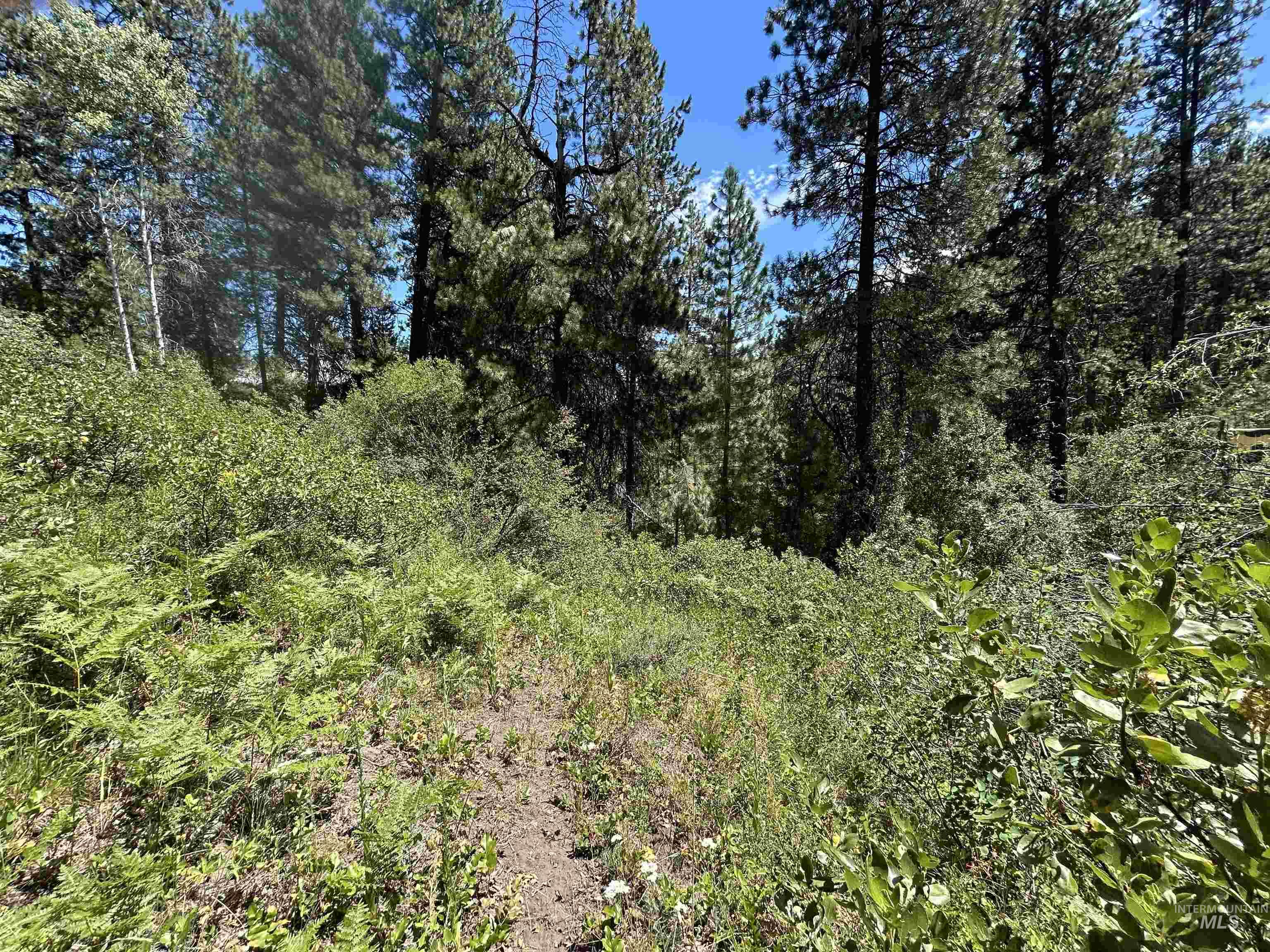 Lot 165b Johnson Creek, Boise, Idaho 83716, Land For Sale, Price $134,000,MLS 98975889