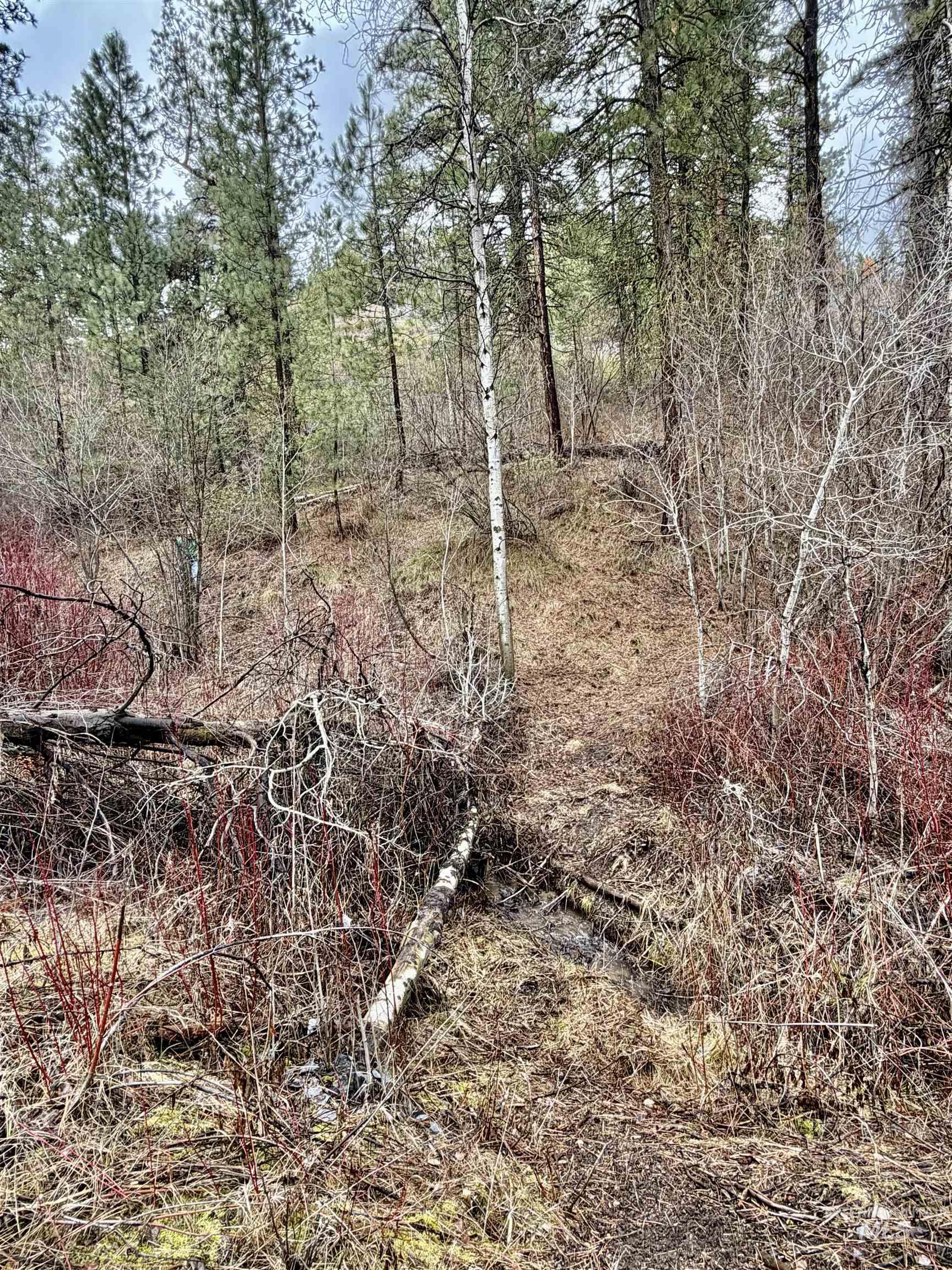 Lot 165b Johnson Creek, Boise, Idaho 83716, Land For Sale, Price $129,000,MLS 98975889