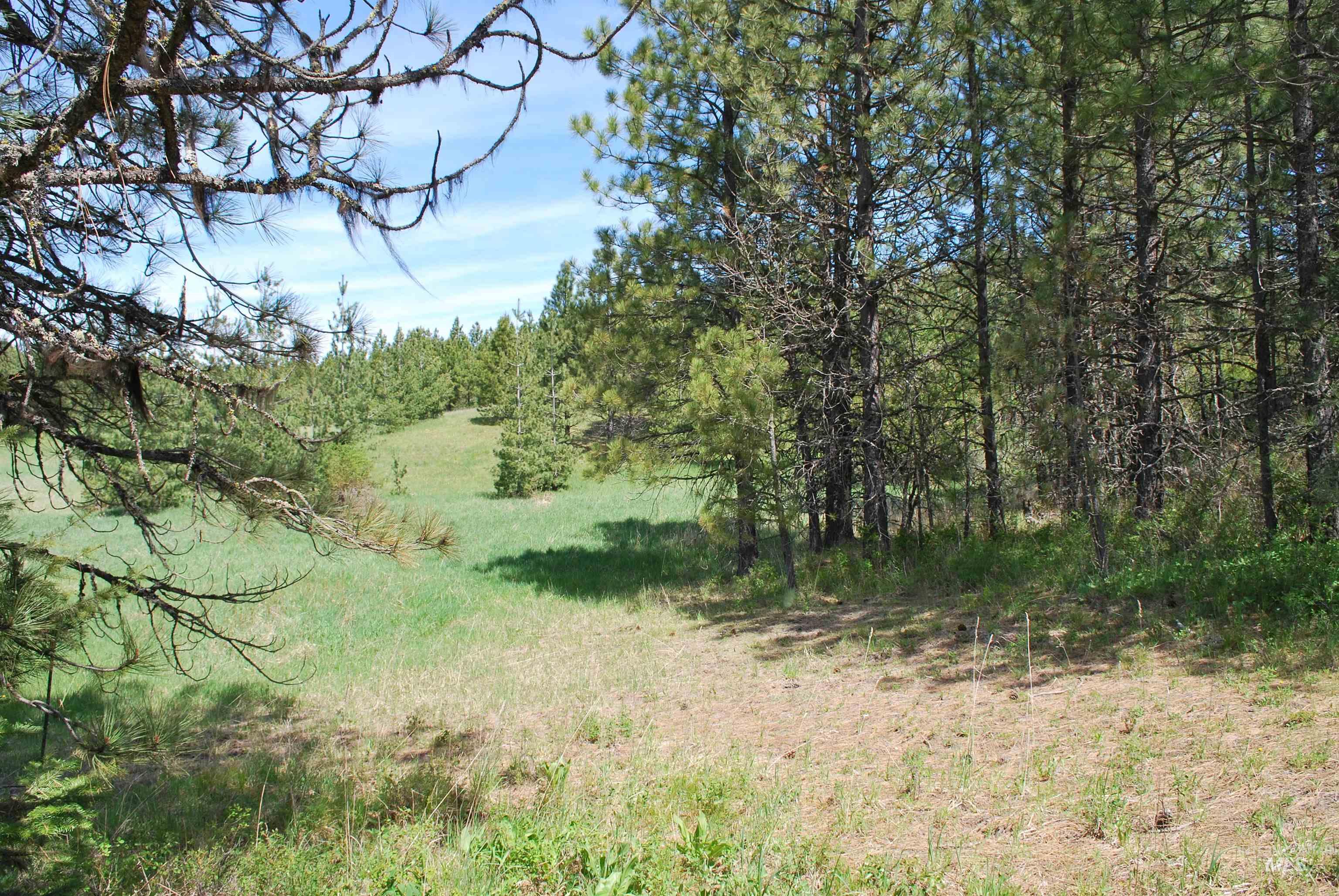 4975 Middle Road, Lenore, Idaho 83541, 1 Bedroom, 1.5 Bathrooms, Residential For Sale, Price $1,950,000, 98975911