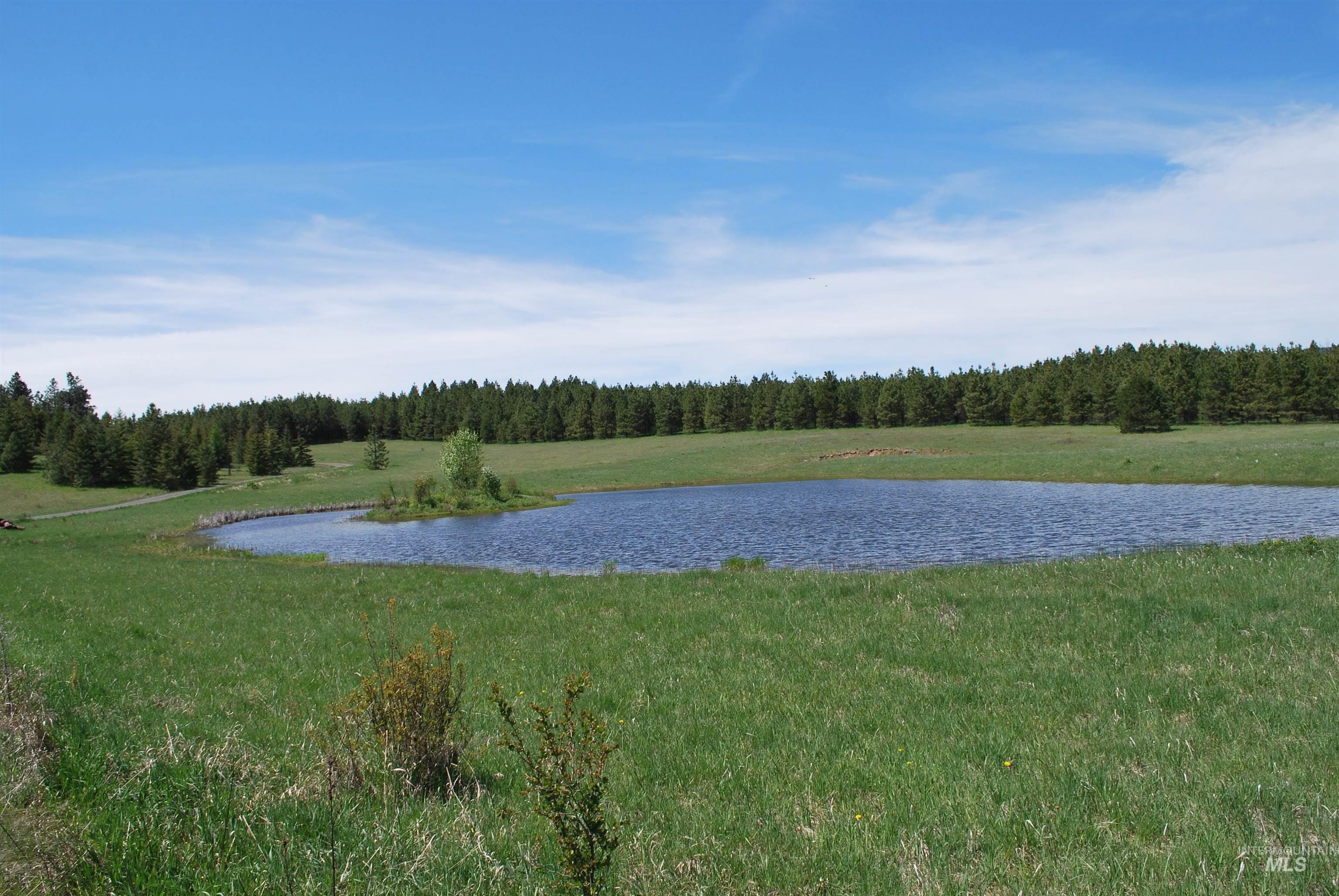 4975 Middle Road, Lenore, Idaho 83541, 1 Bedroom, 1.5 Bathrooms, Residential For Sale, Price $1,950,000, 98975911