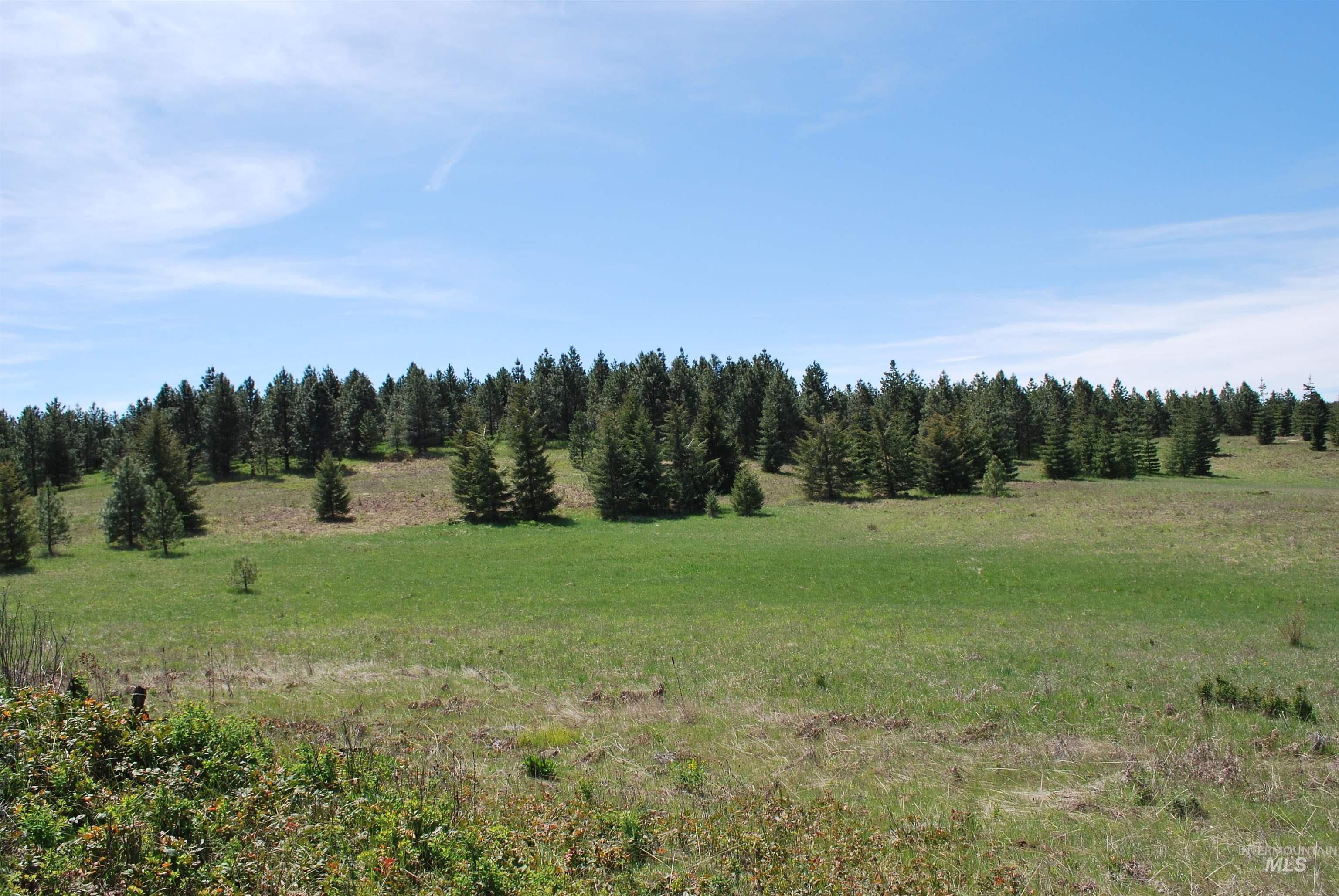 4975 Middle Road, Lenore, Idaho 83541, 1 Bedroom, 1.5 Bathrooms, Residential For Sale, Price $1,950,000, 98975911