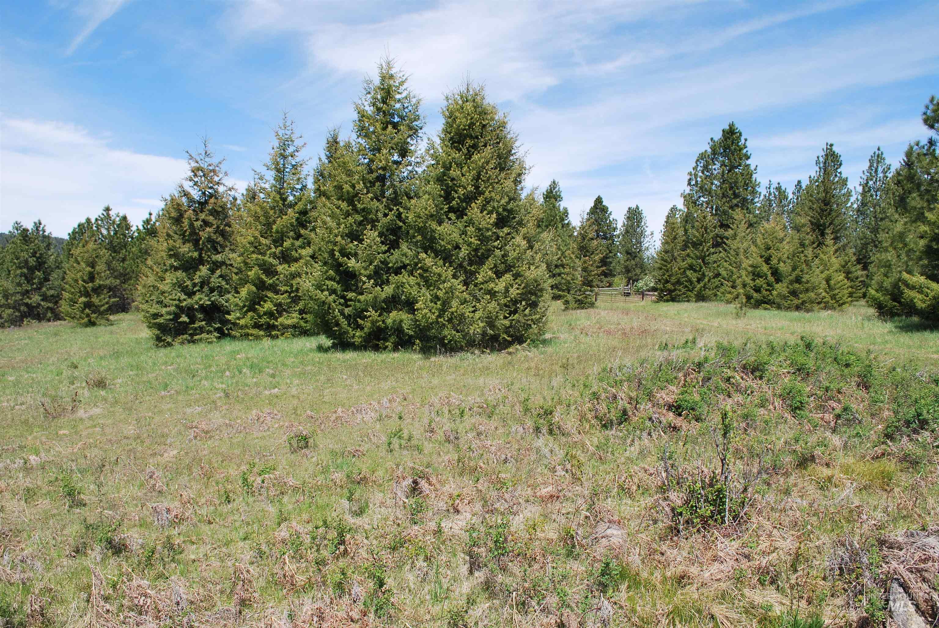 4975 Middle Road, Lenore, Idaho 83541, 1 Bedroom, 1.5 Bathrooms, Residential For Sale, Price $1,950,000, 98975911