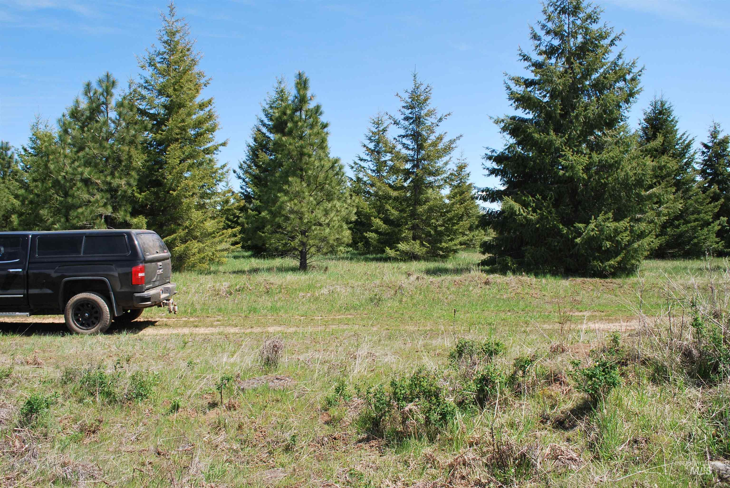 4975 Middle Road, Lenore, Idaho 83541, 1 Bedroom, 1.5 Bathrooms, Residential For Sale, Price $1,950,000, 98975911