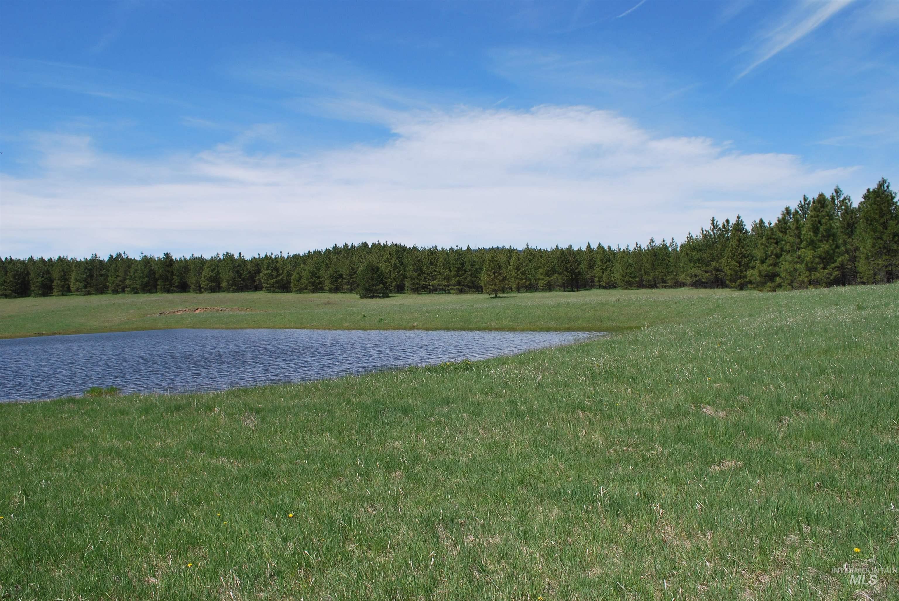 4975 Middle Road, Lenore, Idaho 83541, 1 Bedroom, 1.5 Bathrooms, Residential For Sale, Price $1,950,000, 98975911