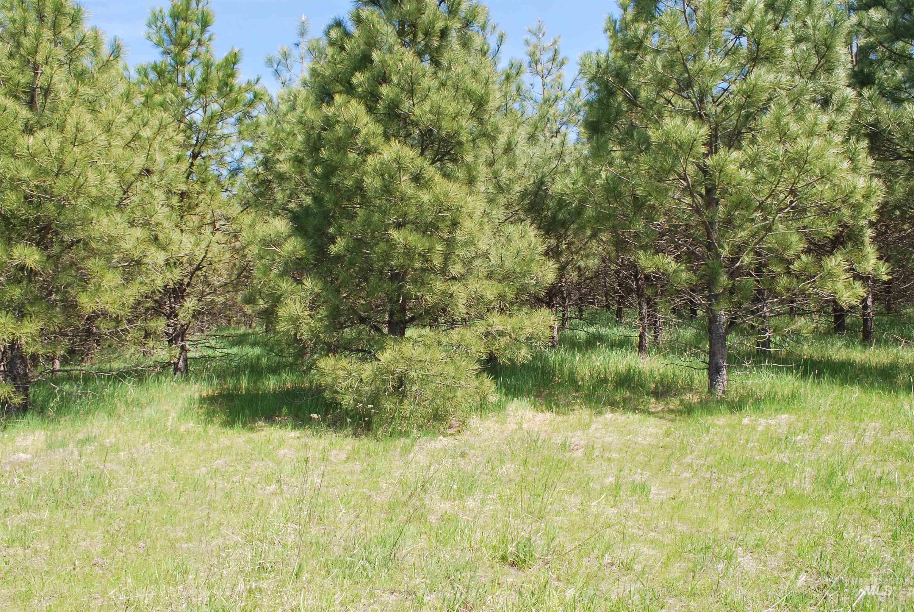 4975 Middle Road, Lenore, Idaho 83541, 1 Bedroom, 1.5 Bathrooms, Residential For Sale, Price $1,350,000, 98975912