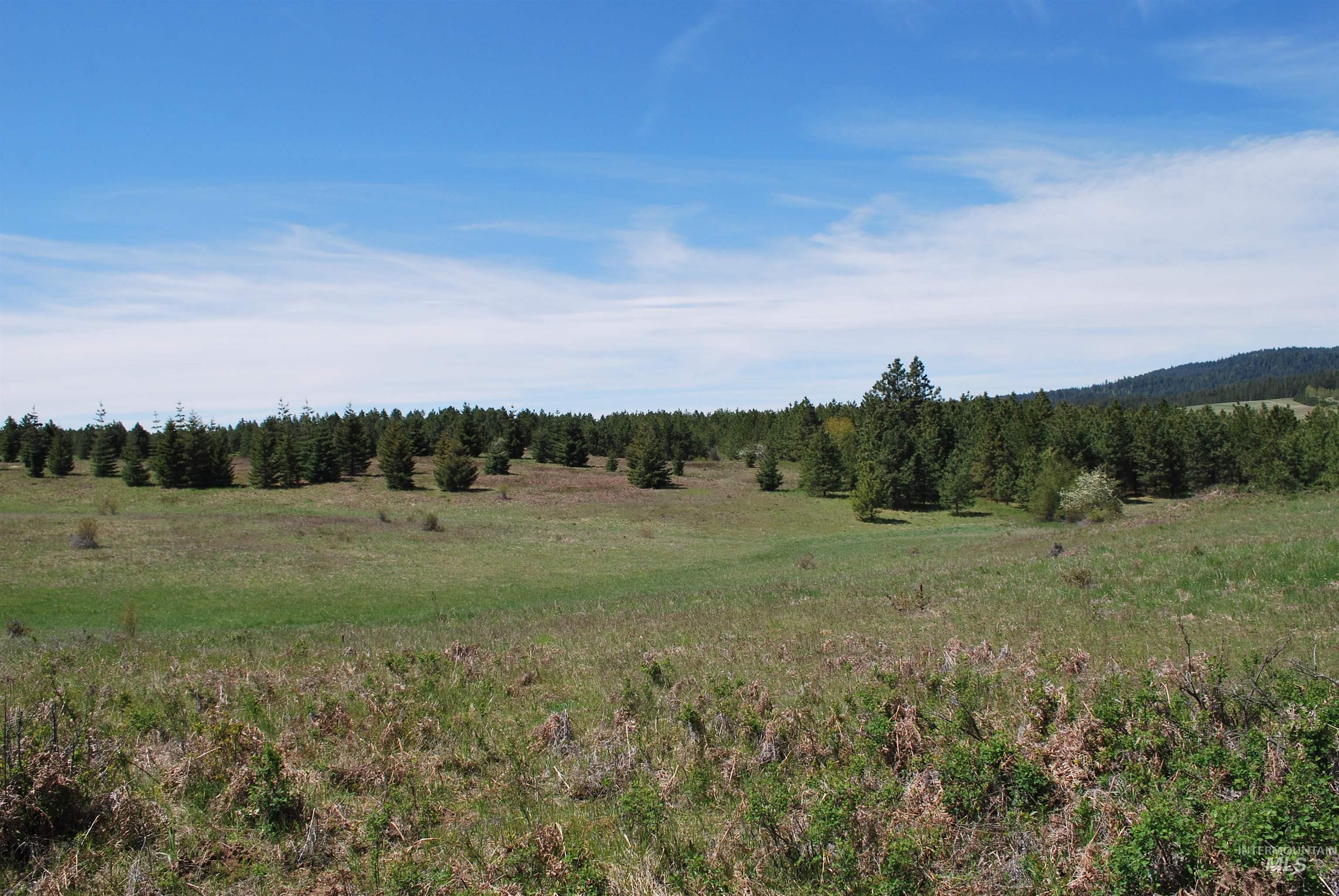 4975 Middle Road, Lenore, Idaho 83541, 1 Bedroom, 1.5 Bathrooms, Residential For Sale, Price $1,350,000, 98975912