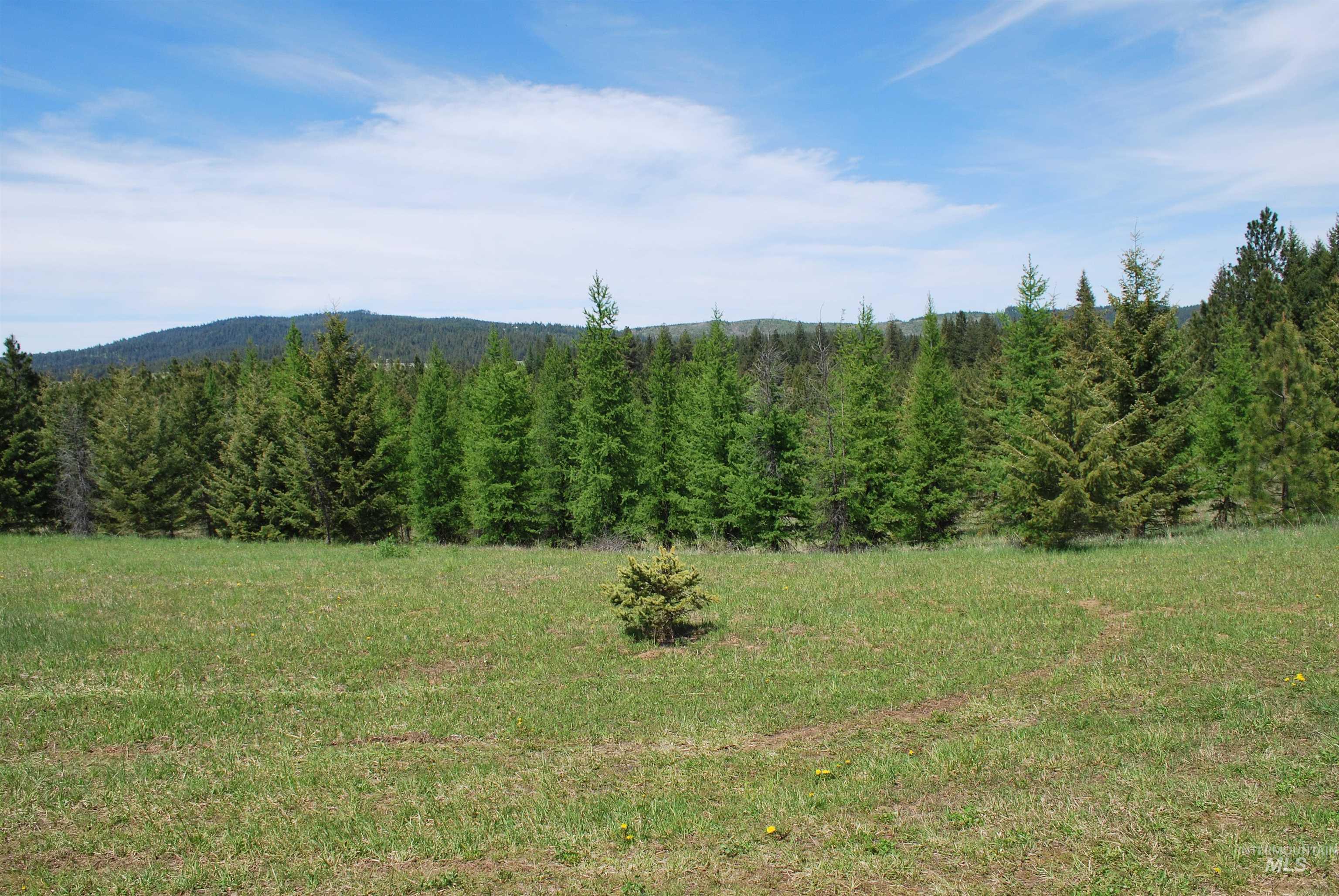 4975 Middle Road, Lenore, Idaho 83541, 1 Bedroom, 1.5 Bathrooms, Residential For Sale, Price $1,350,000, 98975912