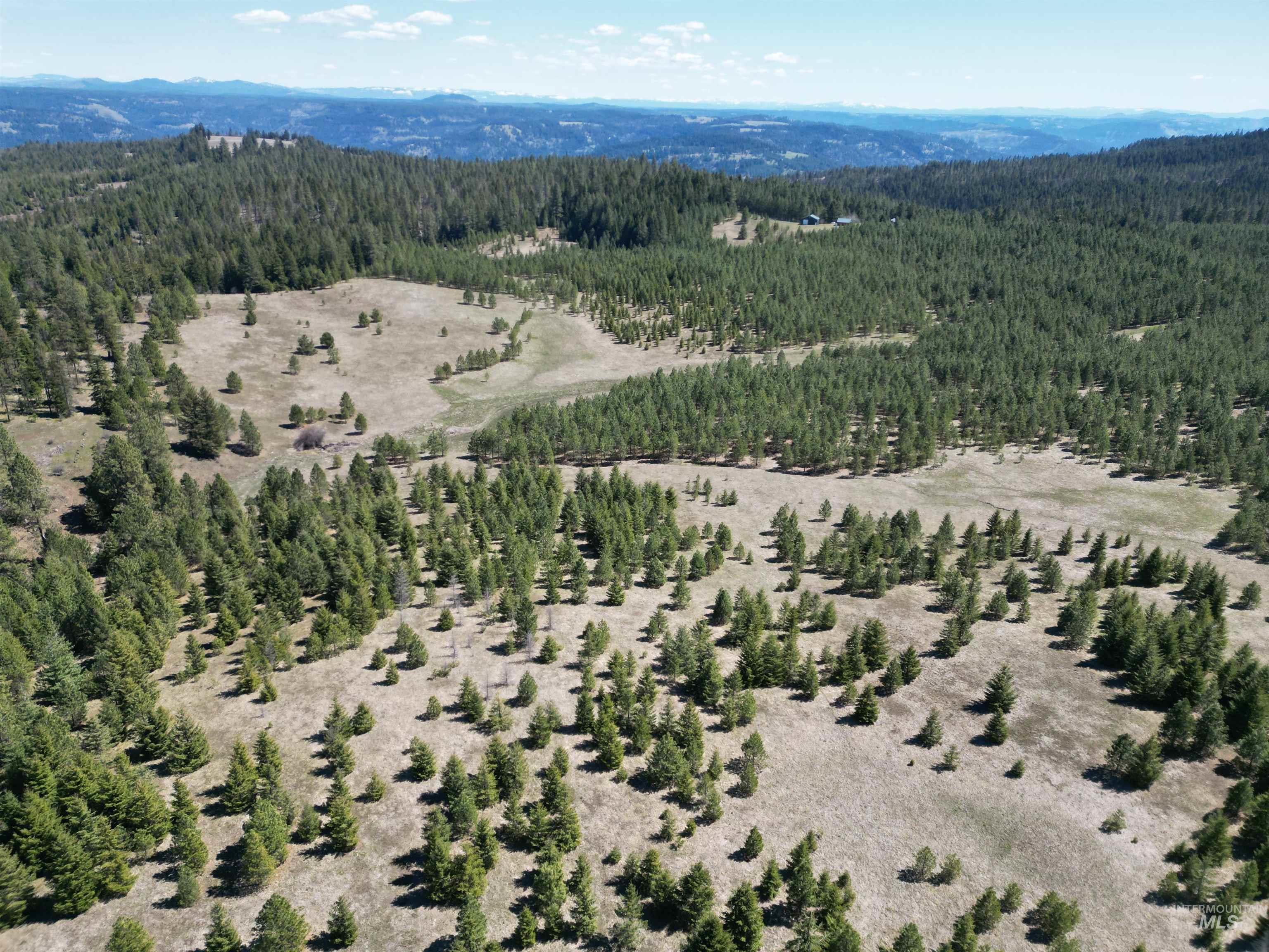 TBD Middle Road, Lenore, Idaho 83541, Land For Sale, Price $600,000, 98975915