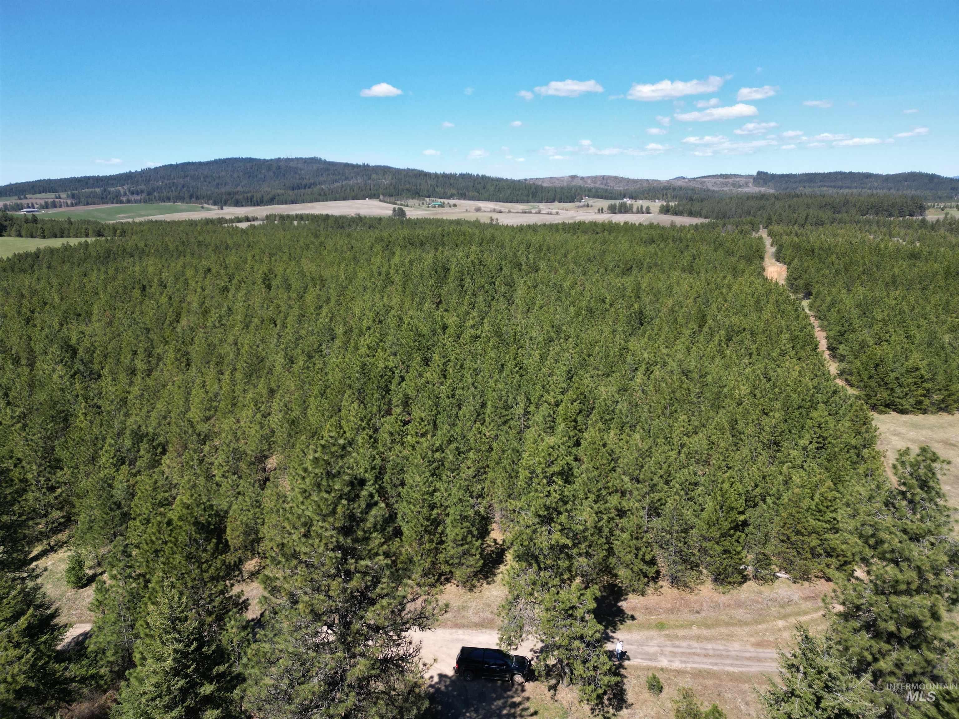 TBD Middle Road, Lenore, Idaho 83541, Land For Sale, Price $600,000, 98975915