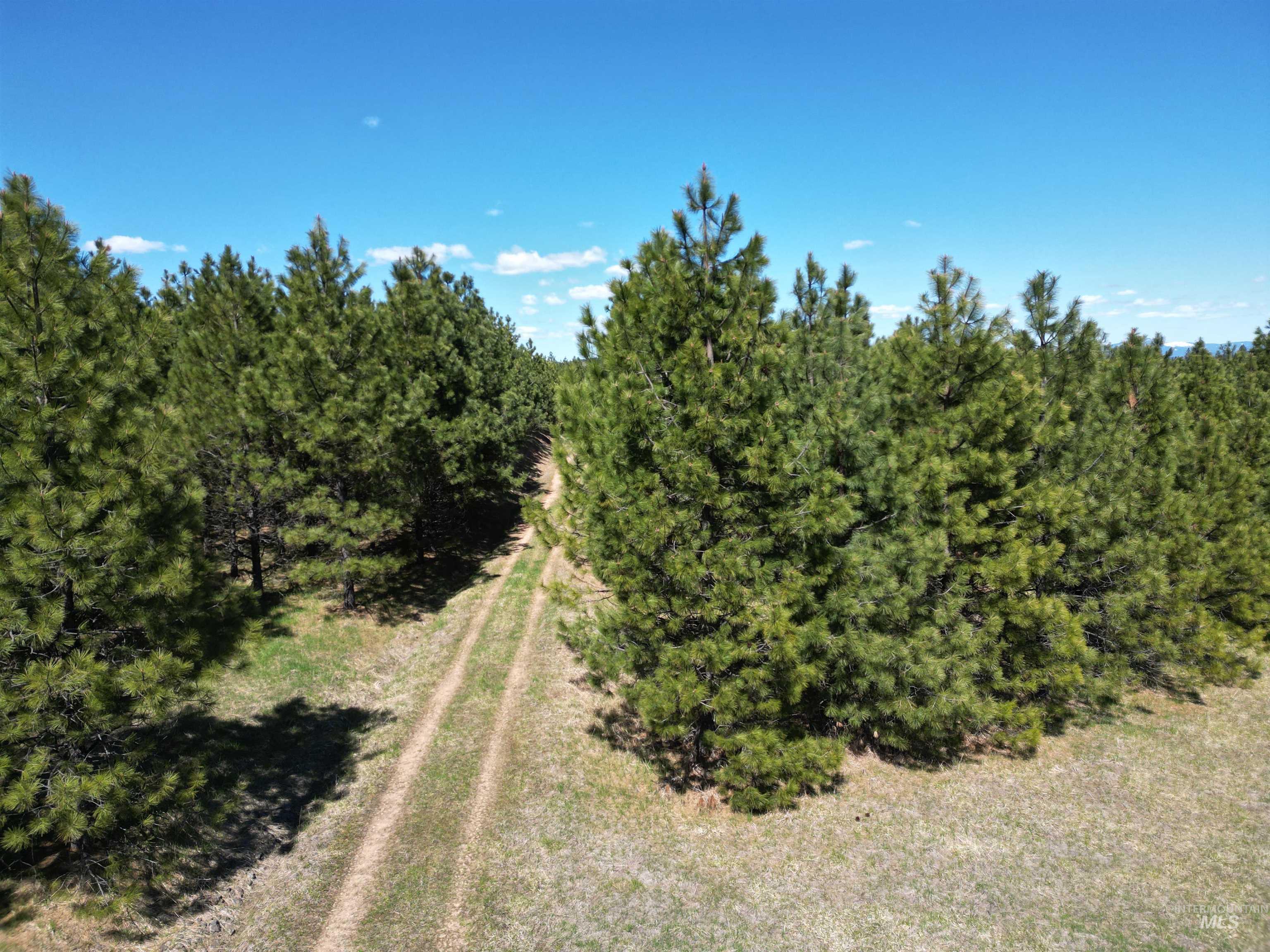 TBD Middle Road, Lenore, Idaho 83541, Land For Sale, Price $600,000, 98975915