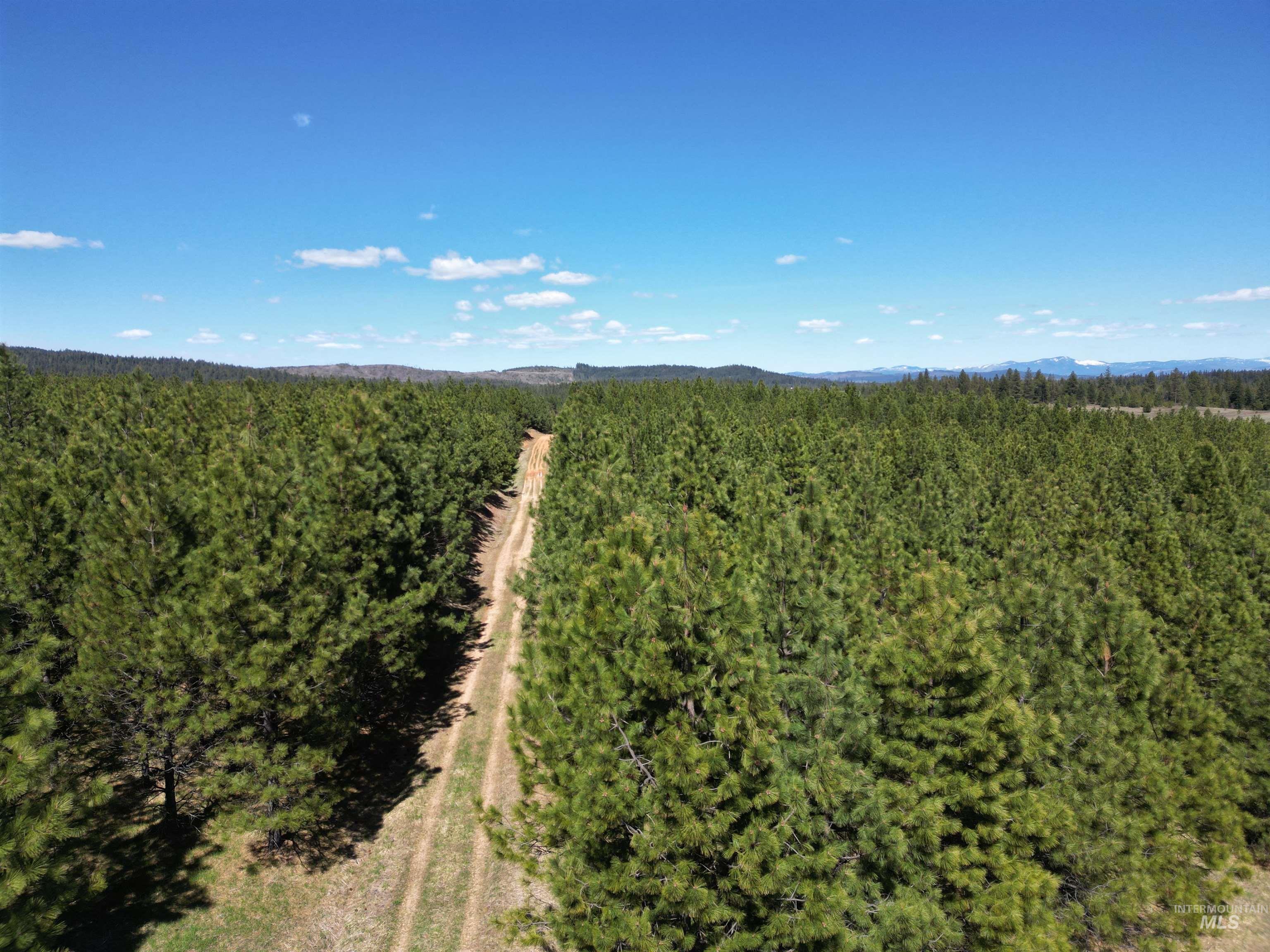 TBD Middle Road, Lenore, Idaho 83541, Land For Sale, Price $600,000, 98975915