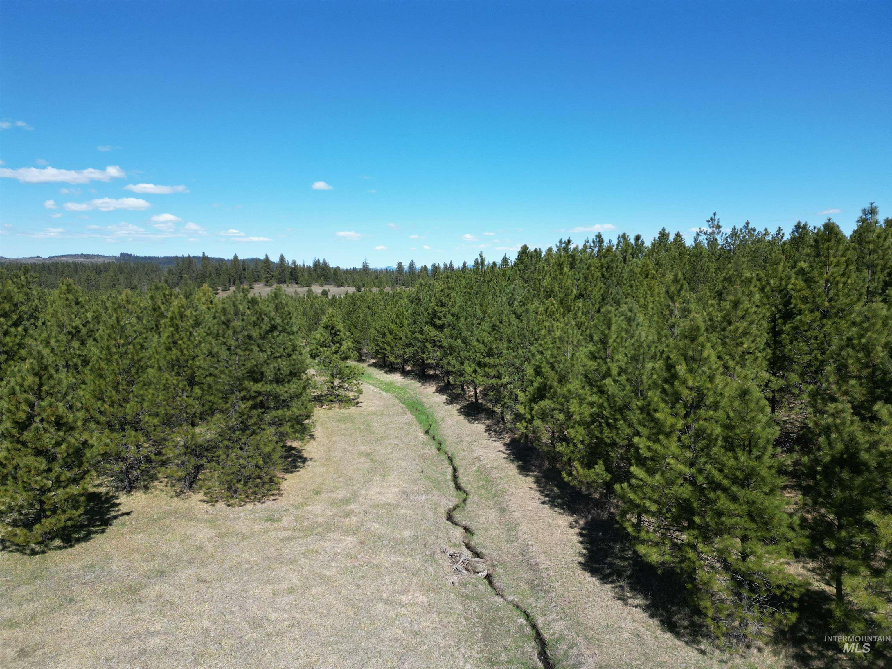 TBD Middle Road, Lenore, Idaho 83541, Land For Sale, Price $600,000, 98975915