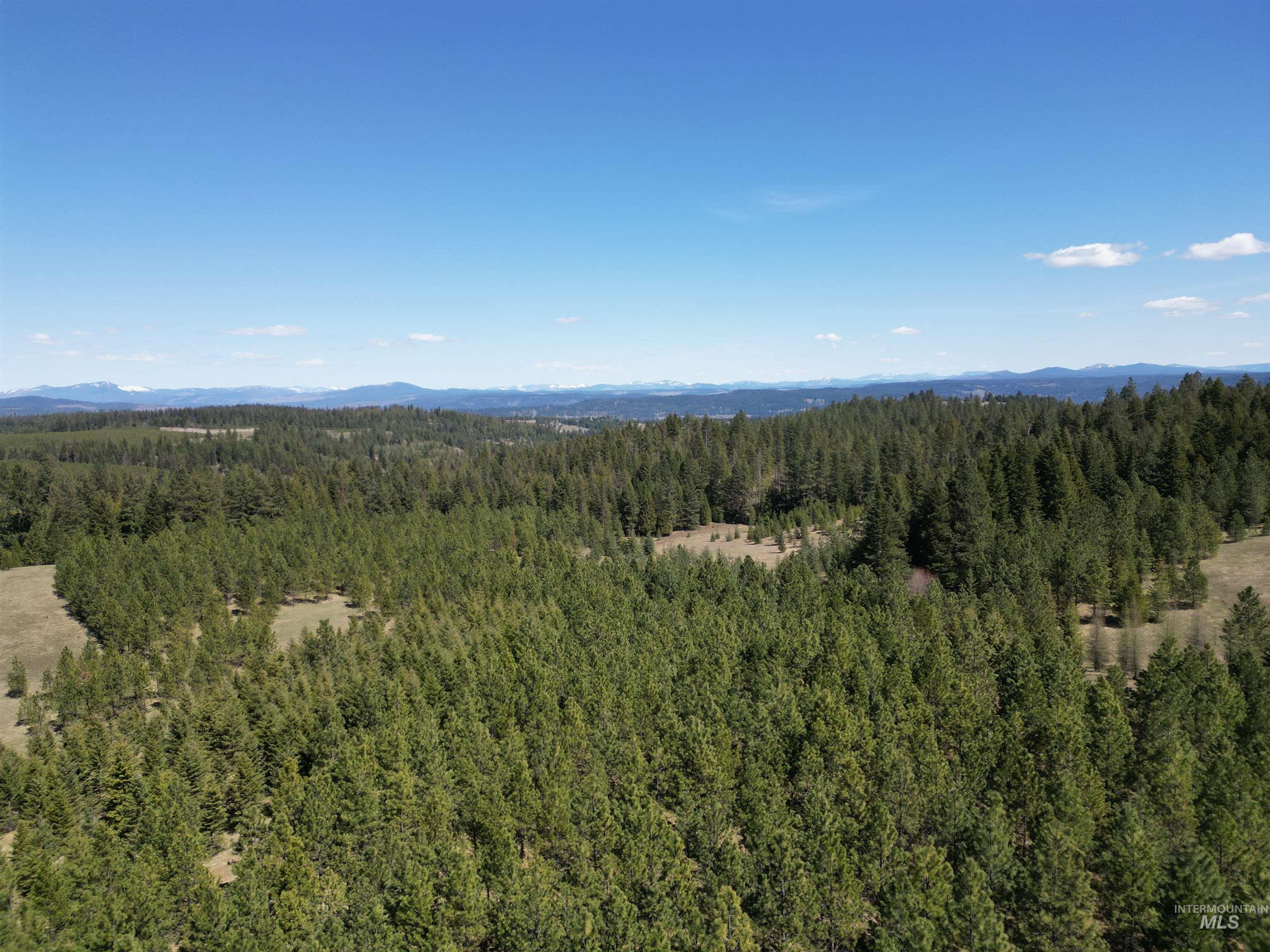 TBD Middle Road, Lenore, Idaho 83541, Land For Sale, Price $600,000, 98975915