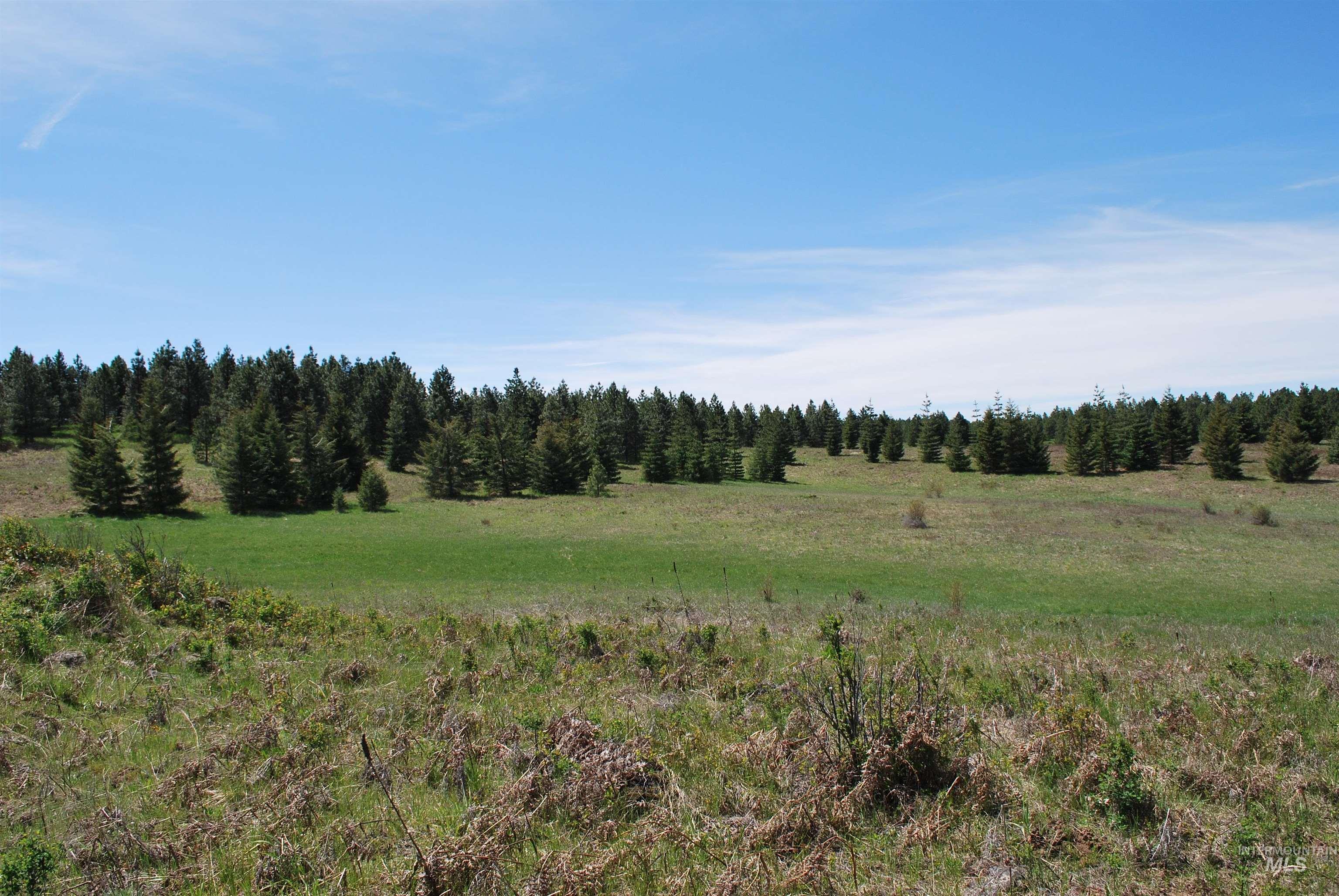 TBD Middle Road, Lenore, Idaho 83541, Land For Sale, Price $600,000, 98975915