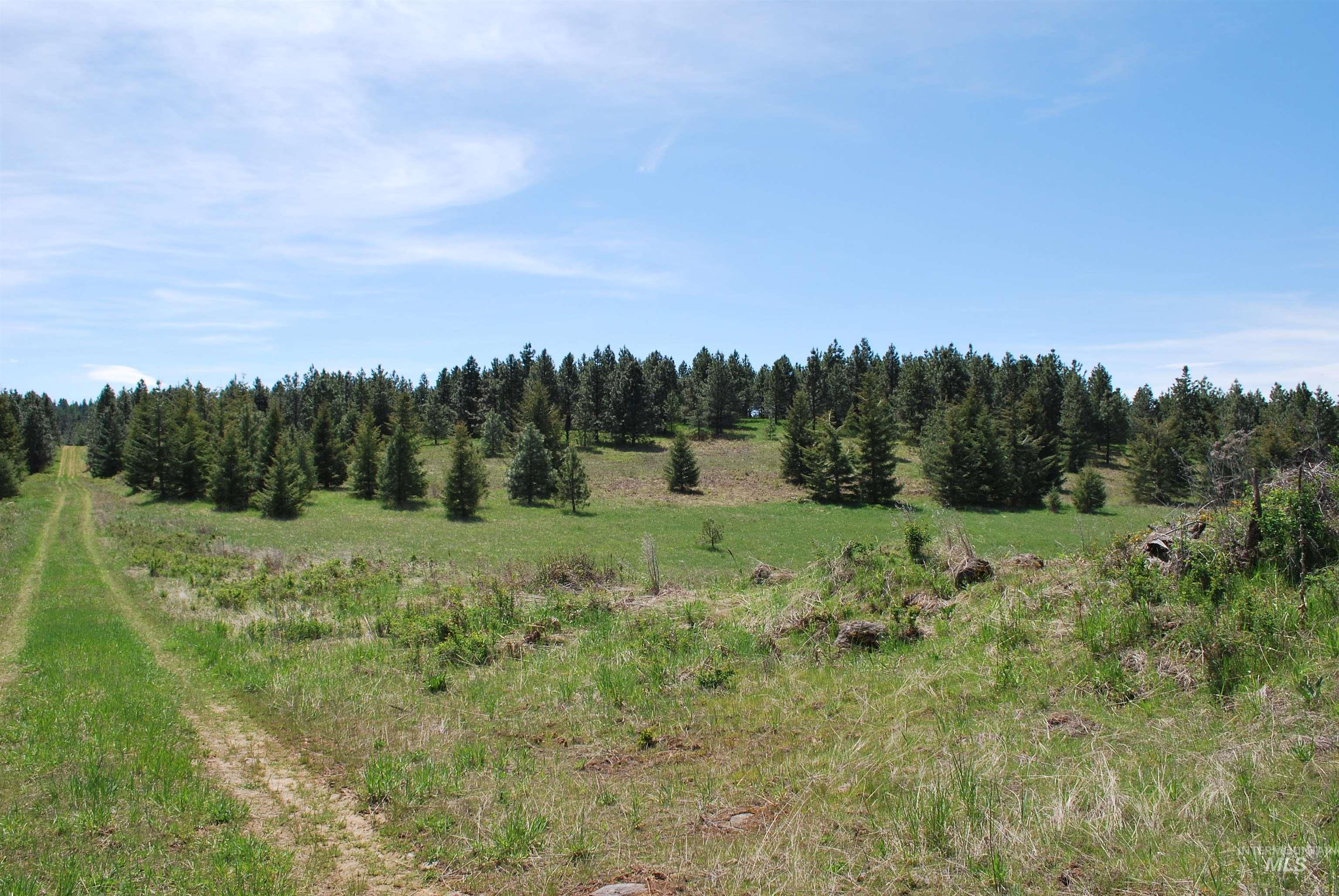 TBD Middle Road, Lenore, Idaho 83541, Land For Sale, Price $600,000, 98975915