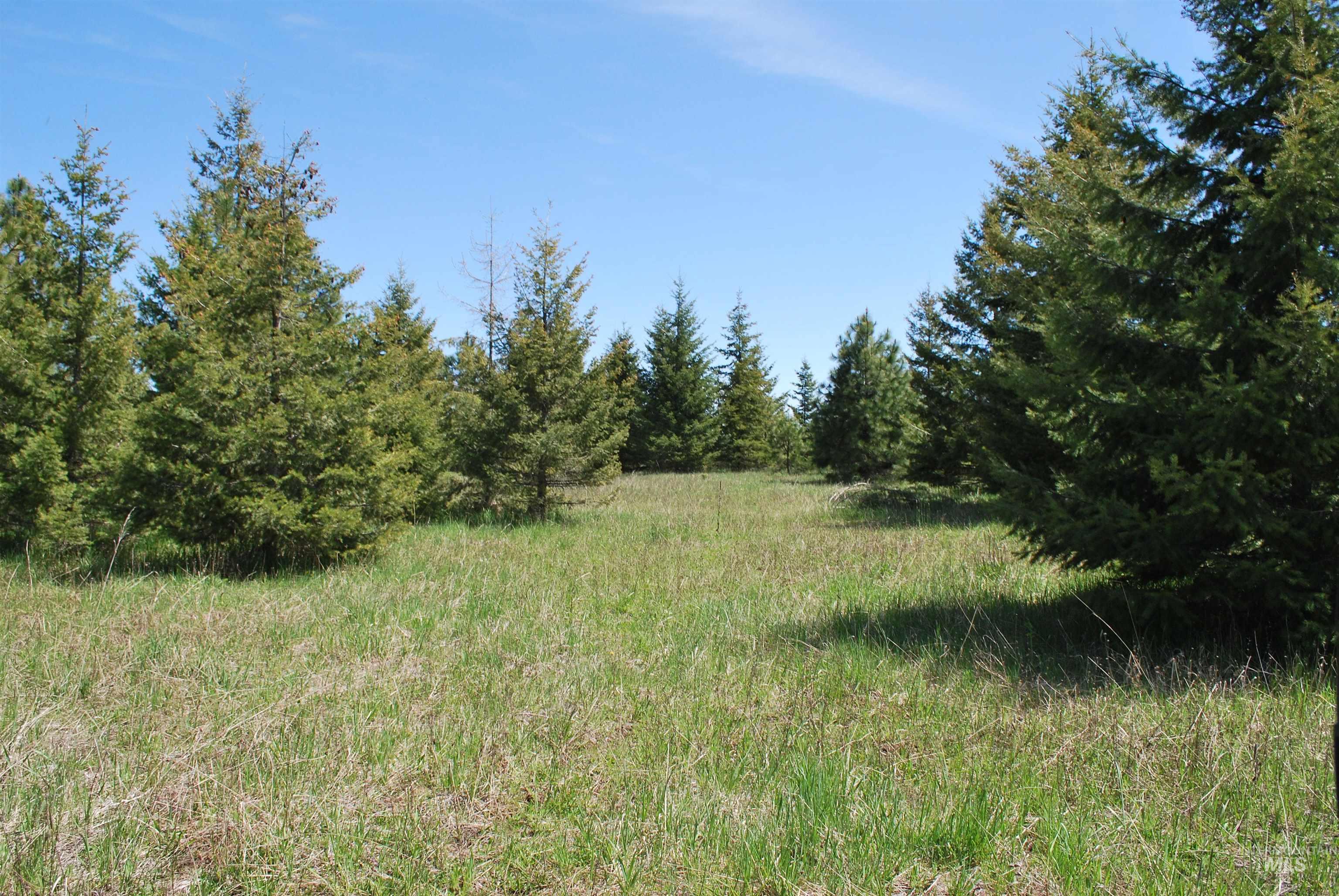 TBD Middle Road, Lenore, Idaho 83541, Land For Sale, Price $600,000, 98975915