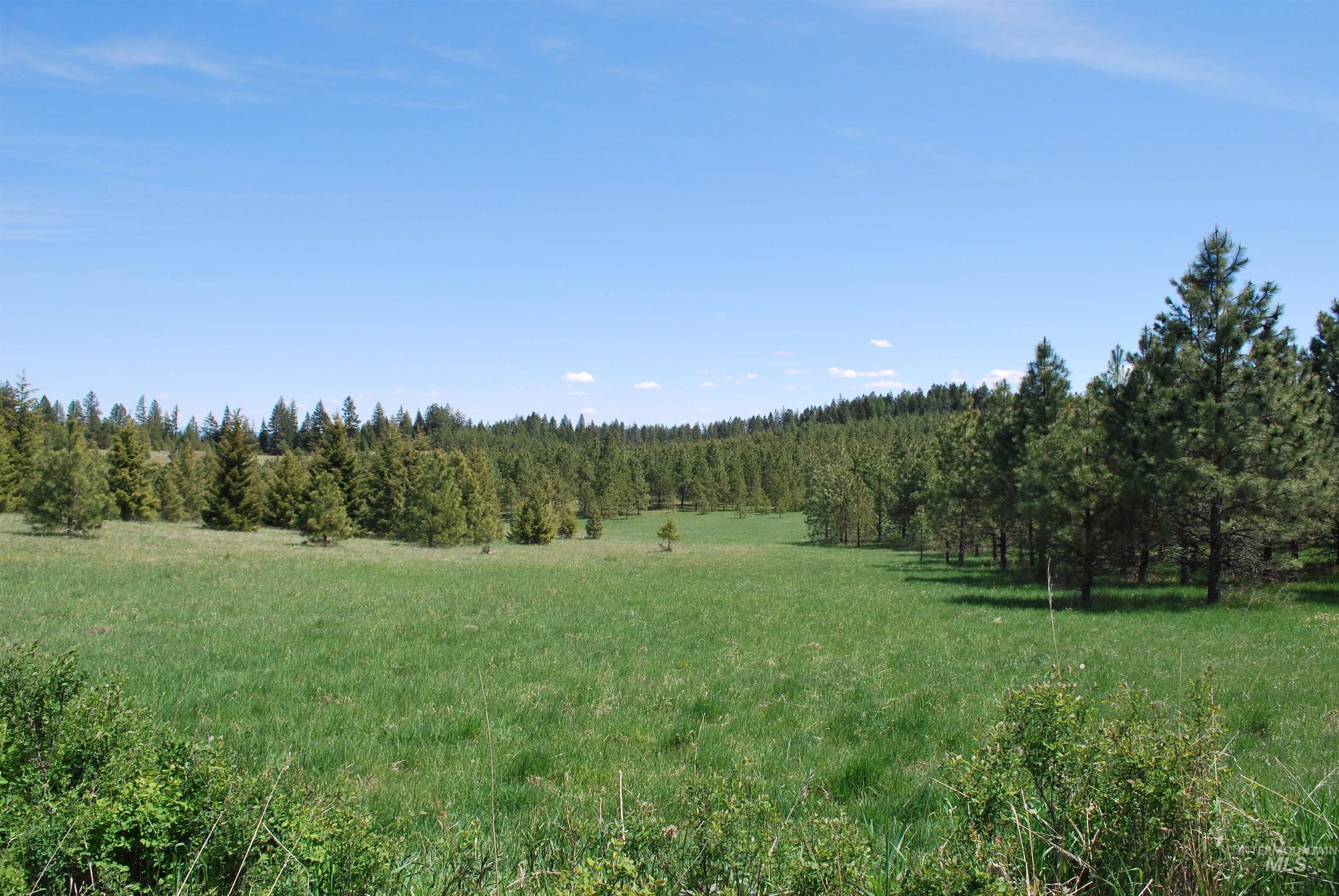 TBD Middle Road, Lenore, Idaho 83541, Land For Sale, Price $600,000, 98975915