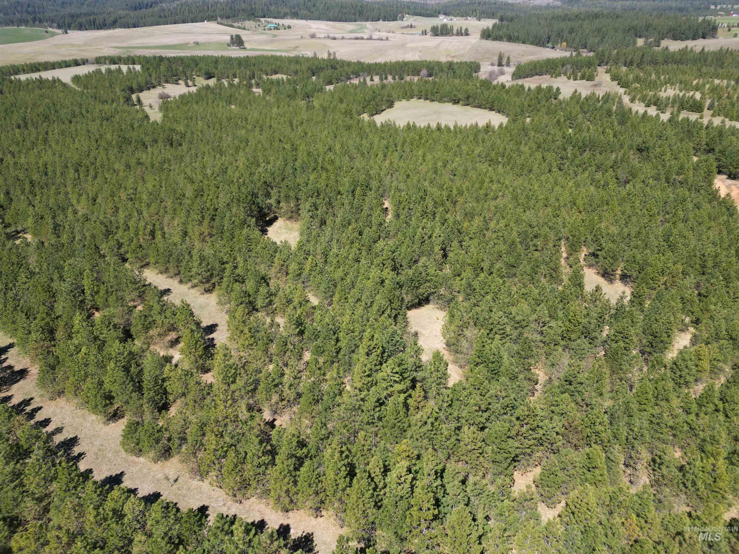 TBD Middle Road, Lenore, Idaho 83541, Land For Sale, Price $600,000, 98975915