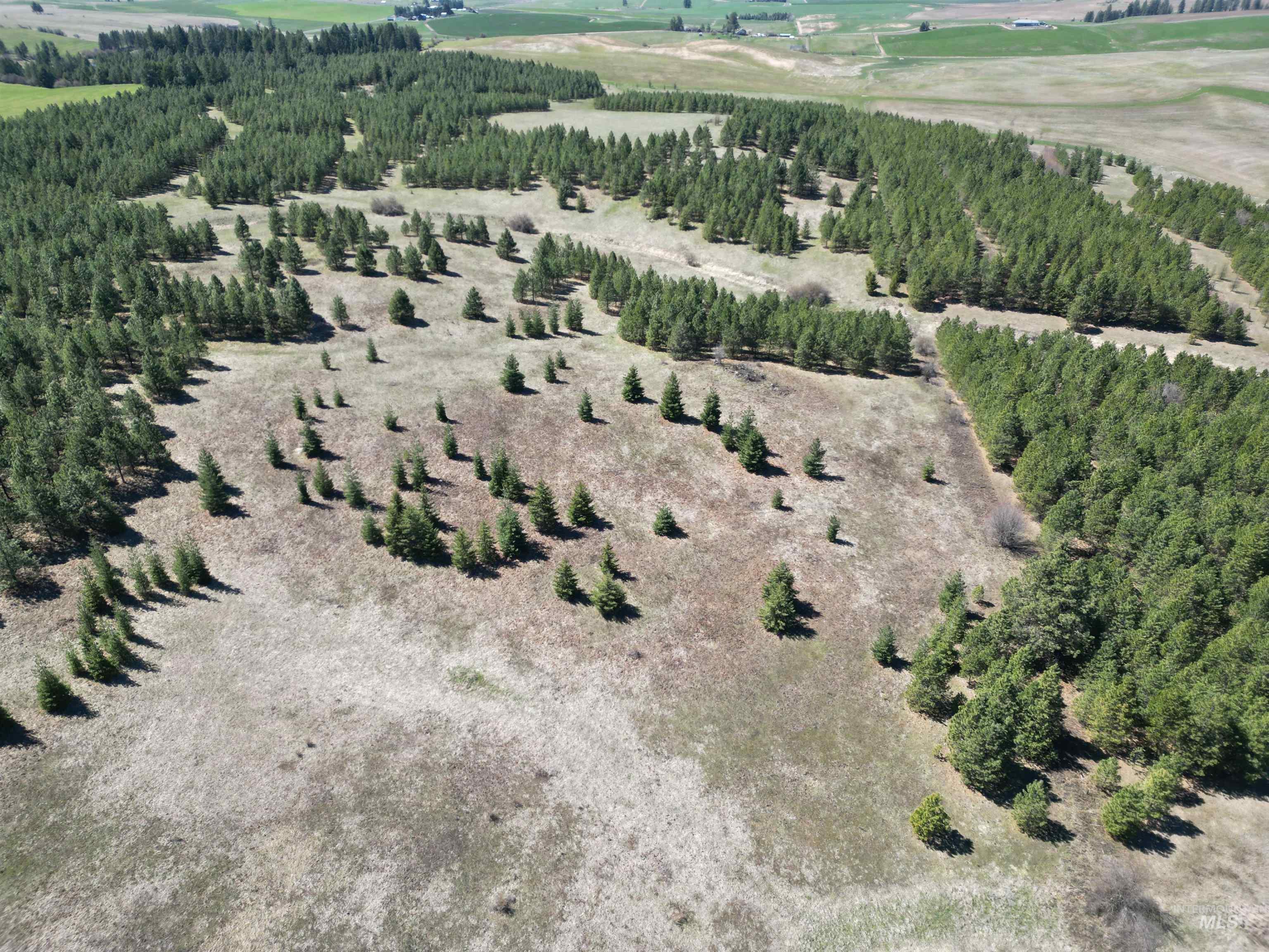 TBD Middle Road, Lenore, Idaho 83541, Land For Sale, Price $600,000, 98975915