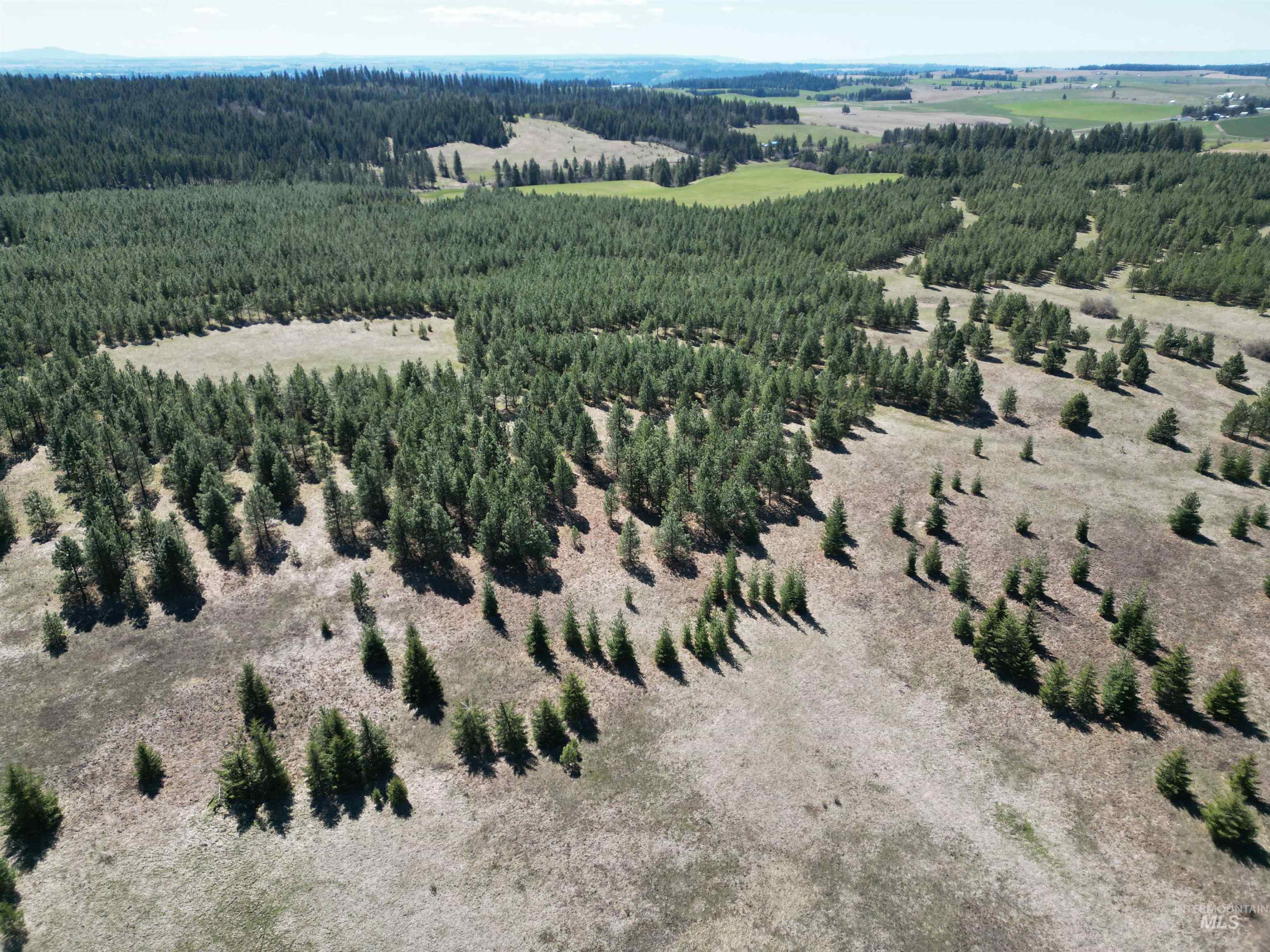 TBD Middle Road, Lenore, Idaho 83541, Land For Sale, Price $600,000, 98975915