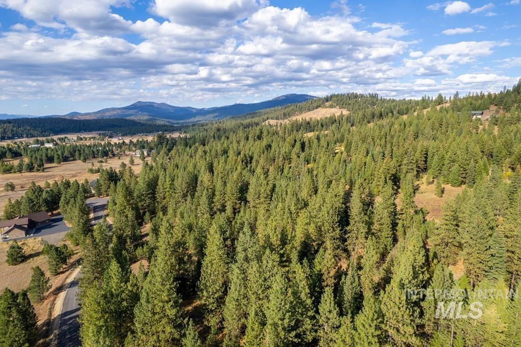 TBD Whitefield Ln., McCall, Idaho 83638, Land For Sale, Price $219,000, 98975948