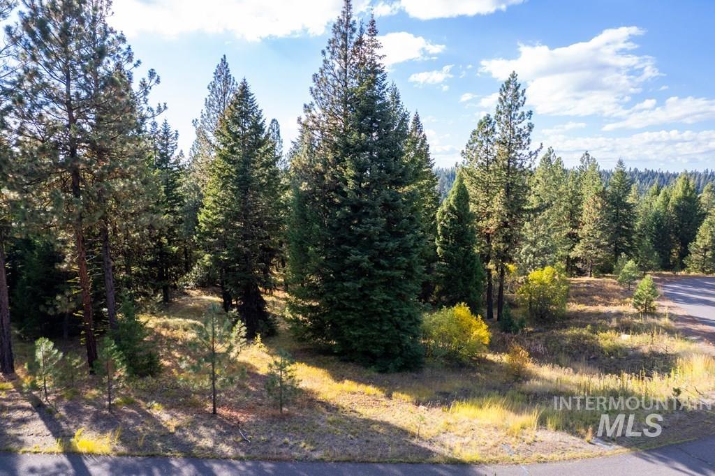 TBD Whitefield Ln., McCall, Idaho 83638, Land For Sale, Price $219,000, 98975948