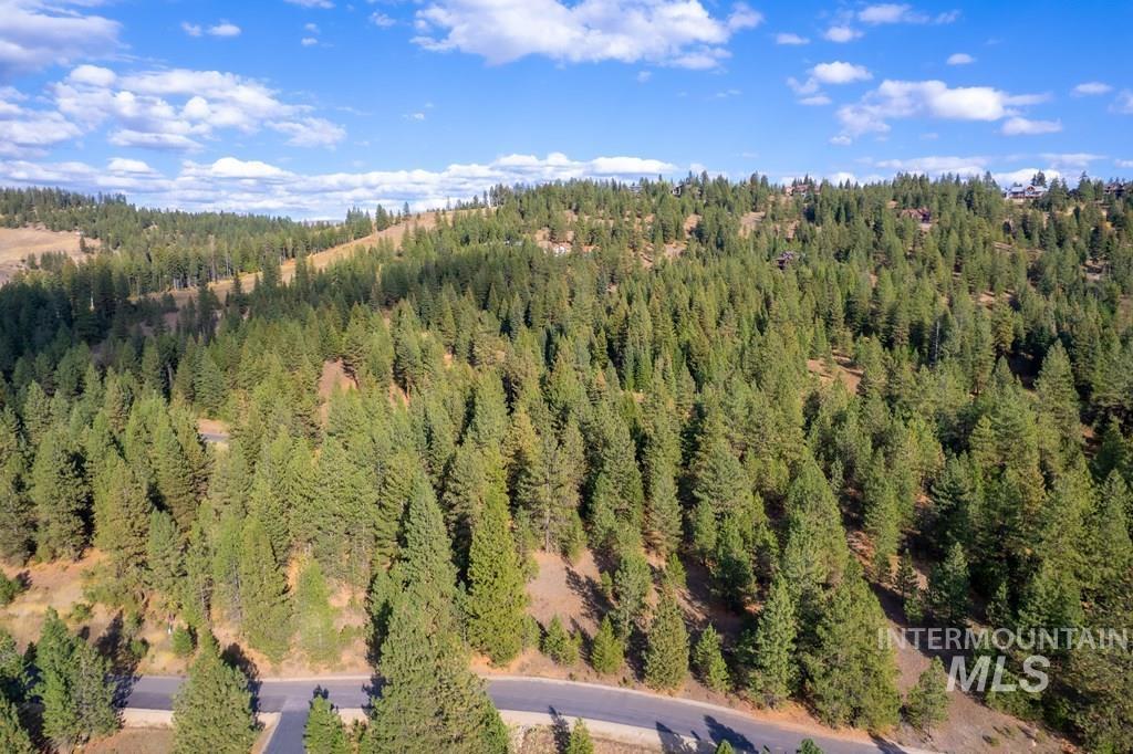TBD Whitefield Ln., McCall, Idaho 83638, Land For Sale, Price $219,000, 98975948