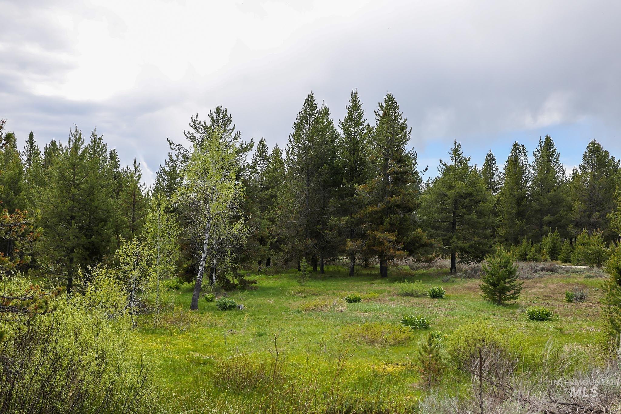 5 Laurins Lane Lot 6, Cascade, Idaho 83611-5434, Land For Sale, Price $360,000, 98975961