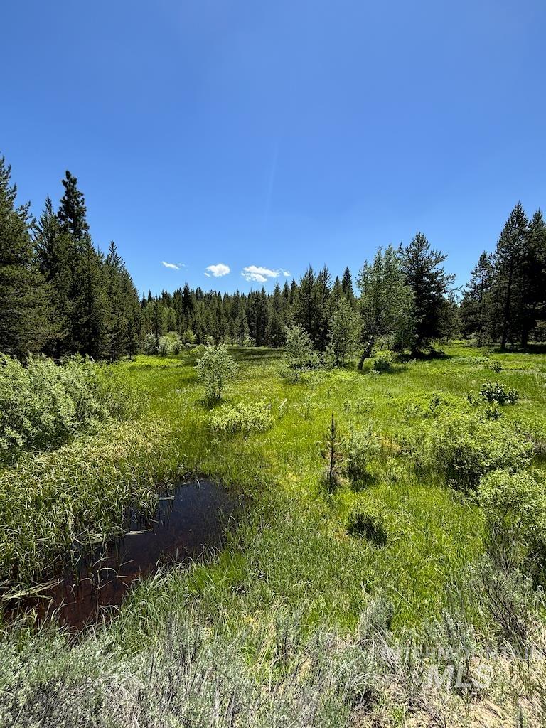 5 Laurins Lane Lot 6, Cascade, Idaho 83611-5434, Land For Sale, Price $360,000, 98975961