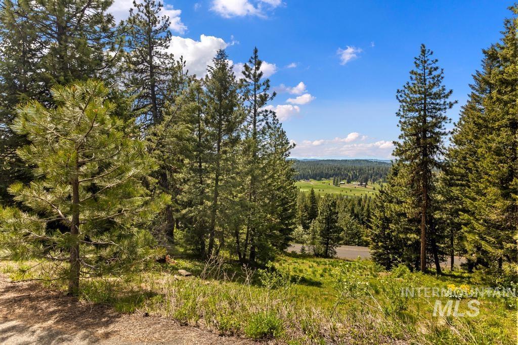 L14 Harrington Place, McCall, Idaho 83638, Land For Sale, Price $250,000, 98975988