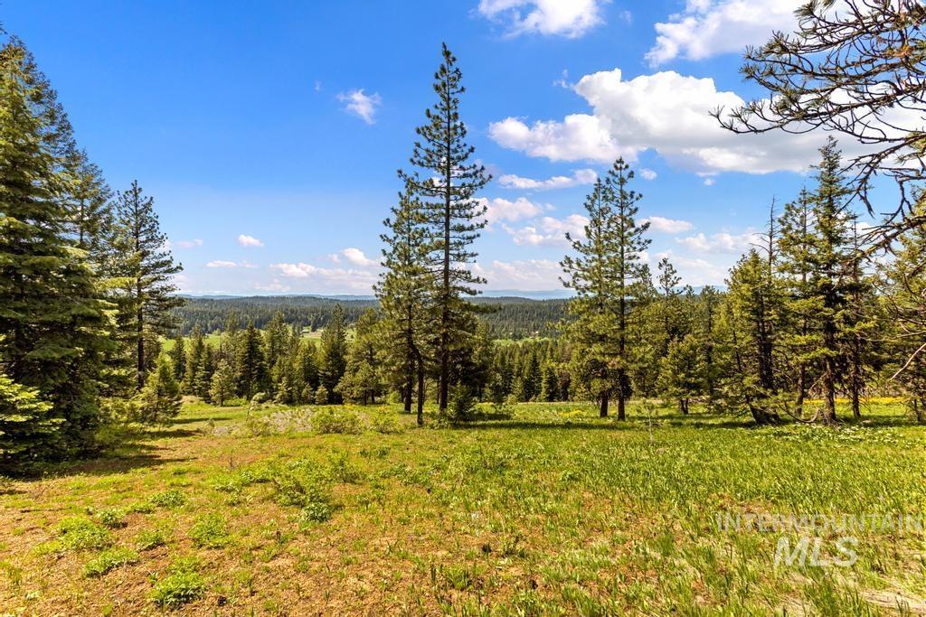 L14 Harrington Place, McCall, Idaho 83638, Land For Sale, Price $250,000, 98975988
