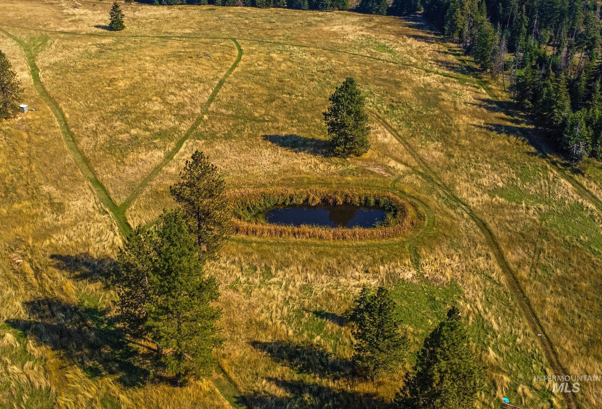 263 Glory Lane, Orofino, Idaho 83544, 4 Bedrooms, 2.5 Bathrooms, Residential For Sale, Price $762,000, 98976028