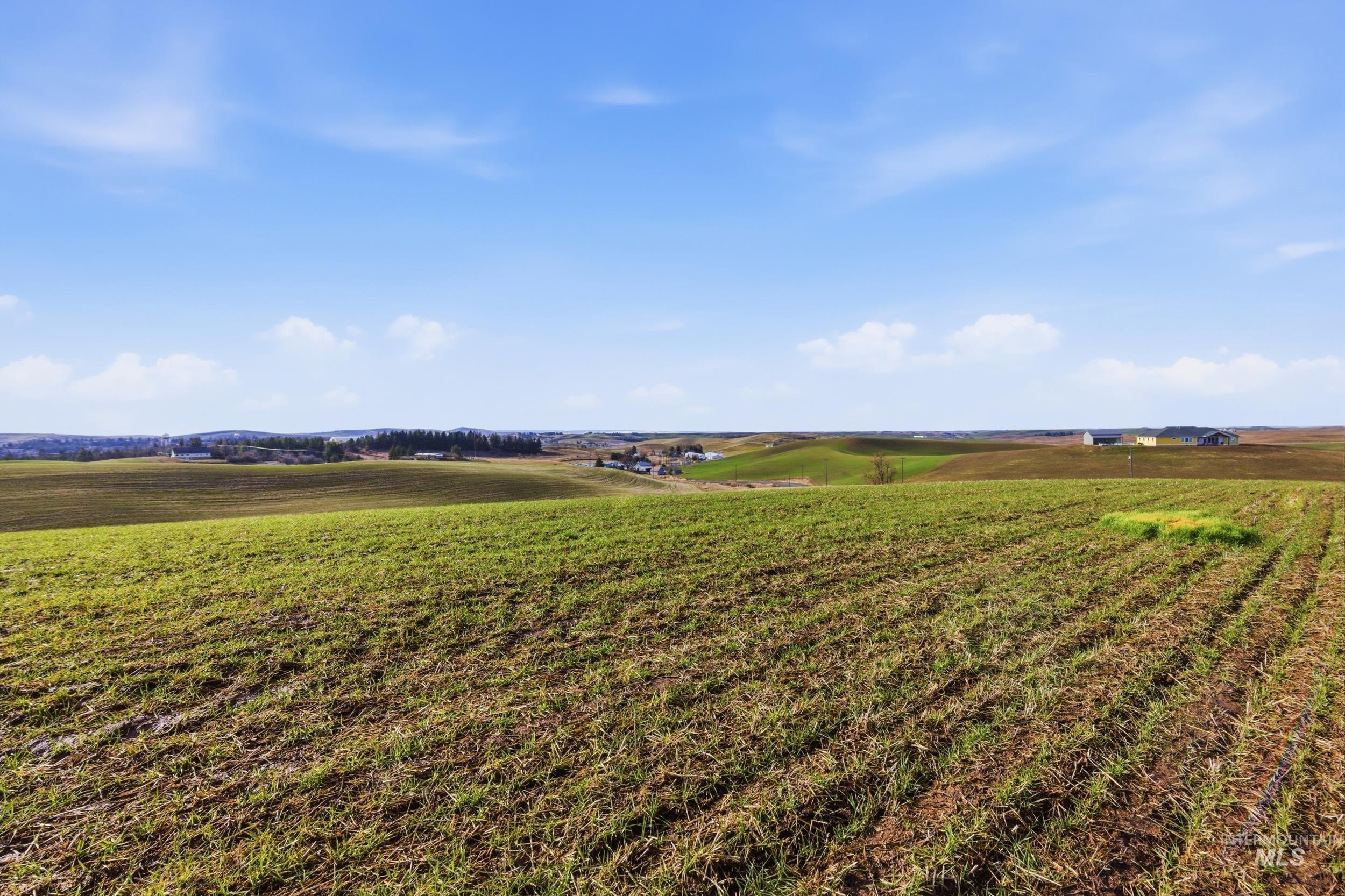 TBD Mix Road, Moscow, Idaho 83843, Land For Sale, Price $659,000, 98976159