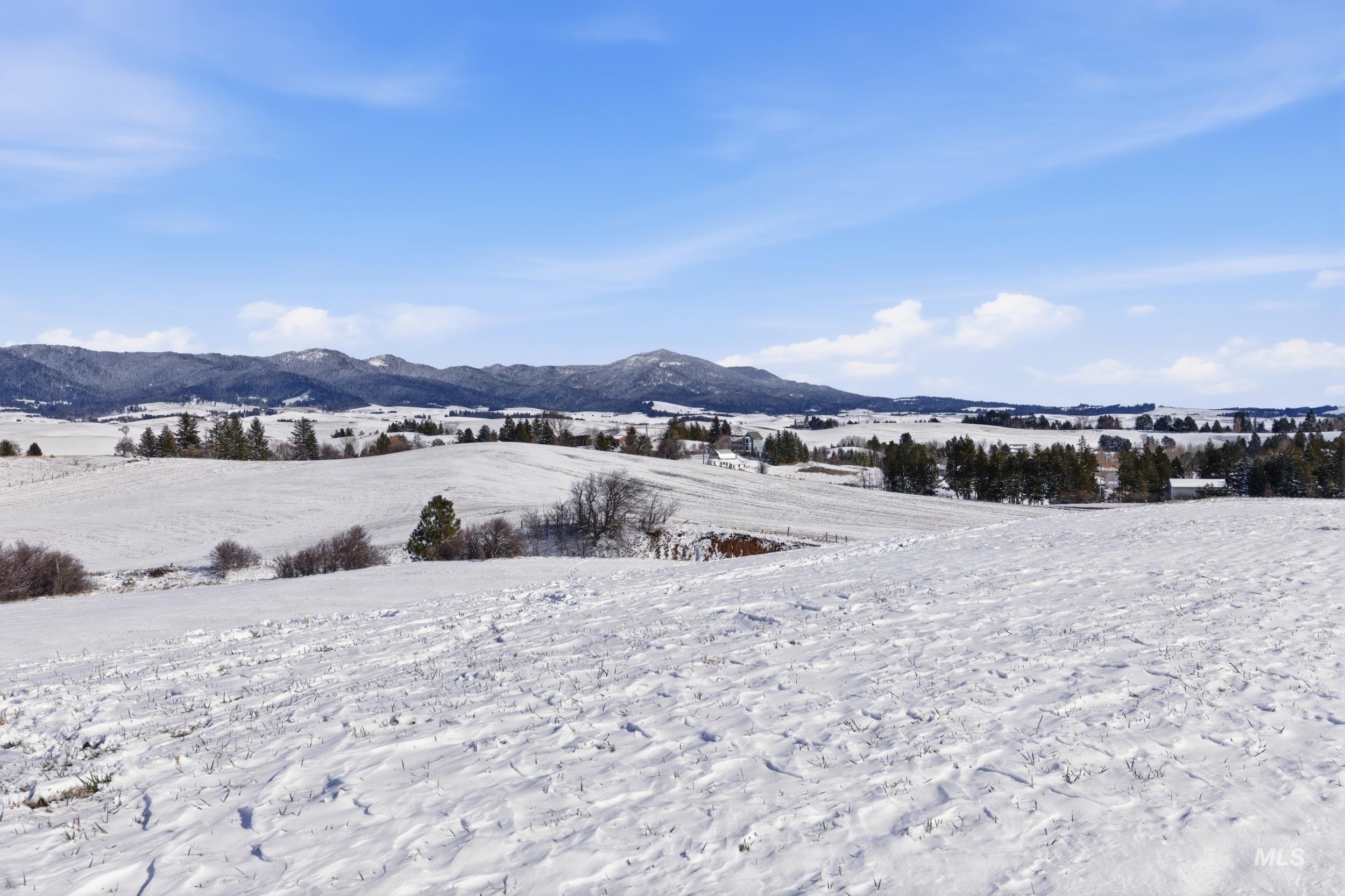 TBD Mix Road, Moscow, Idaho 83843, Land For Sale, Price $659,000, 98976159