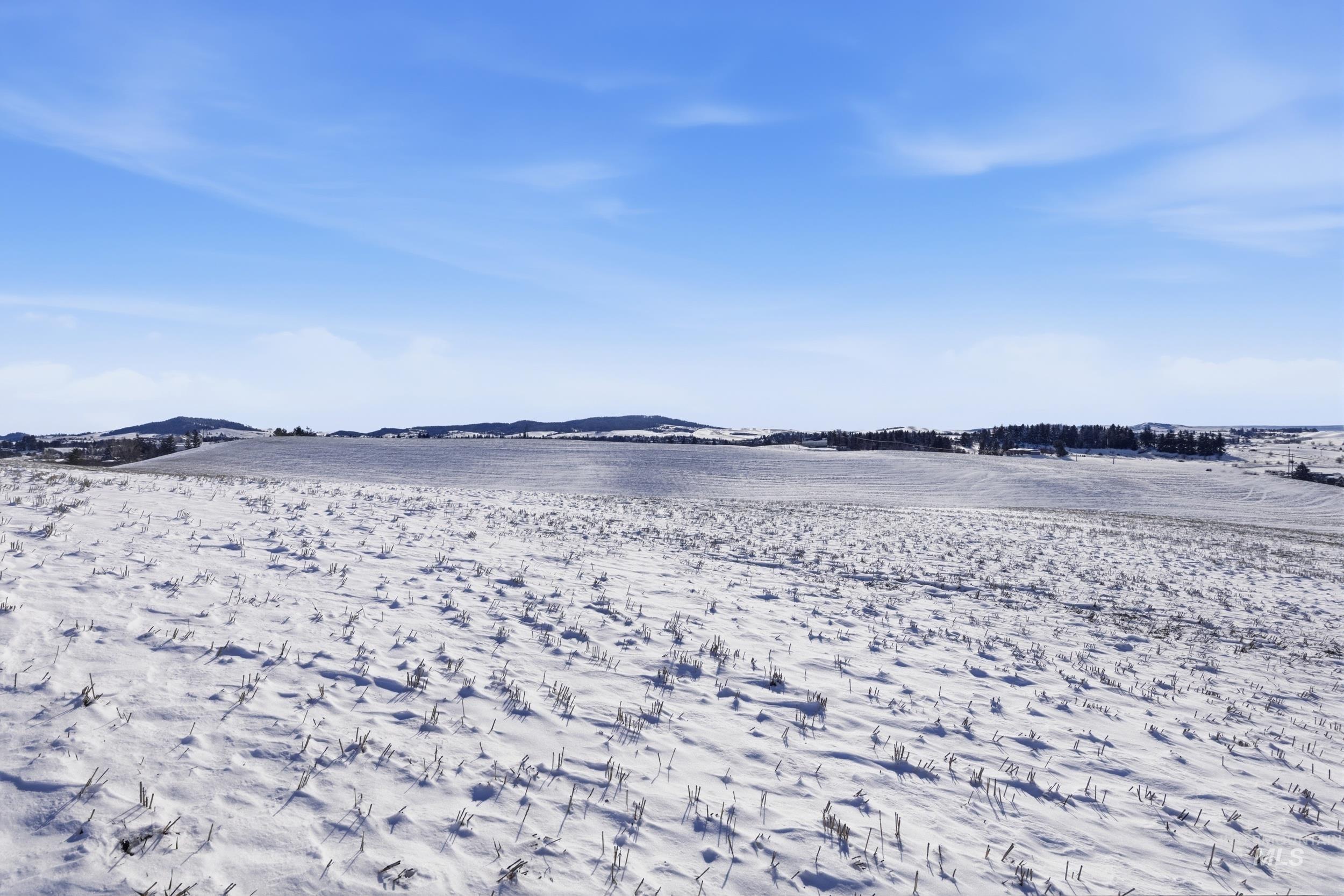 TBD Mix Road, Moscow, Idaho 83843, Land For Sale, Price $659,000, 98976159