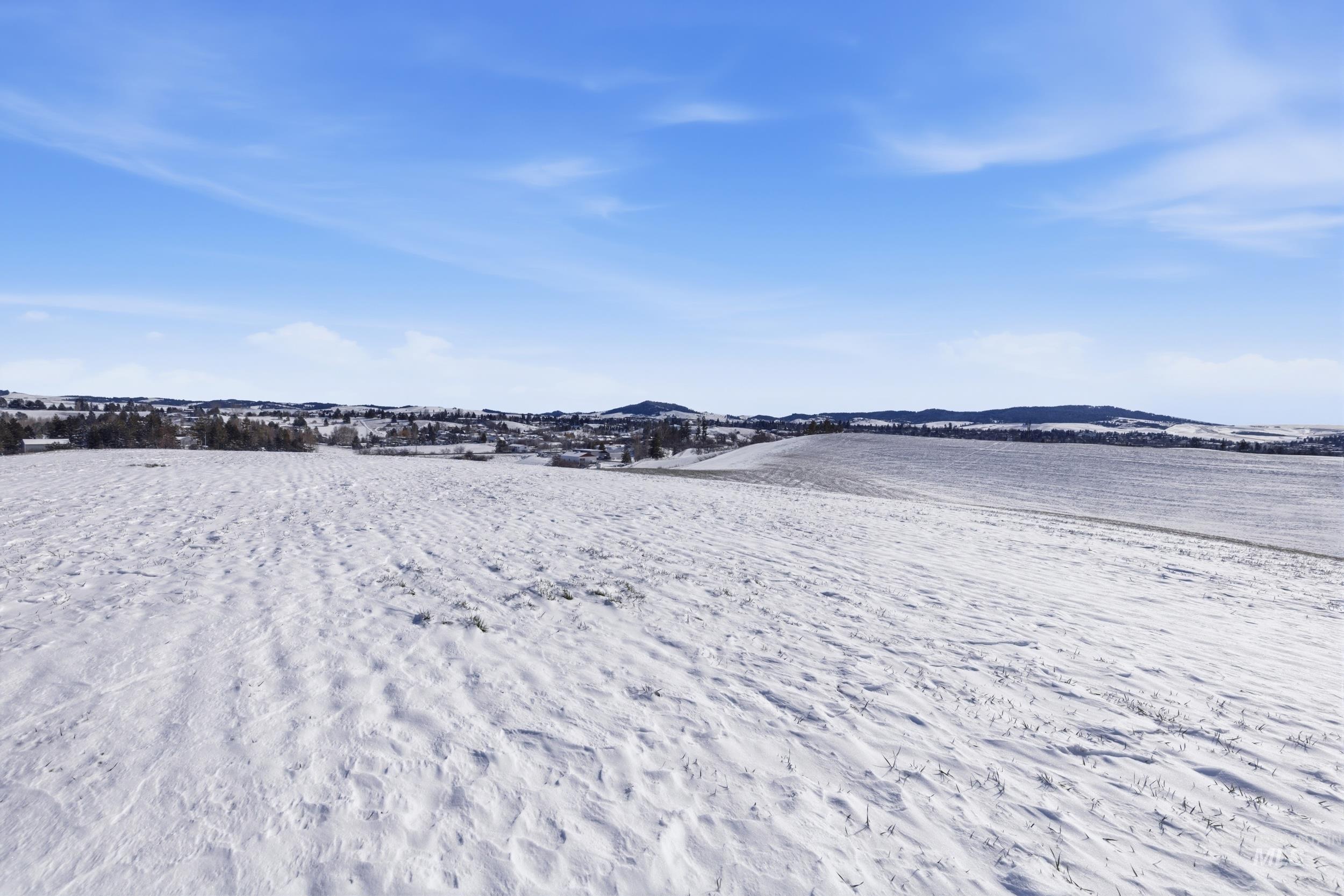 TBD Mix Road, Moscow, Idaho 83843, Land For Sale, Price $659,000, 98976159