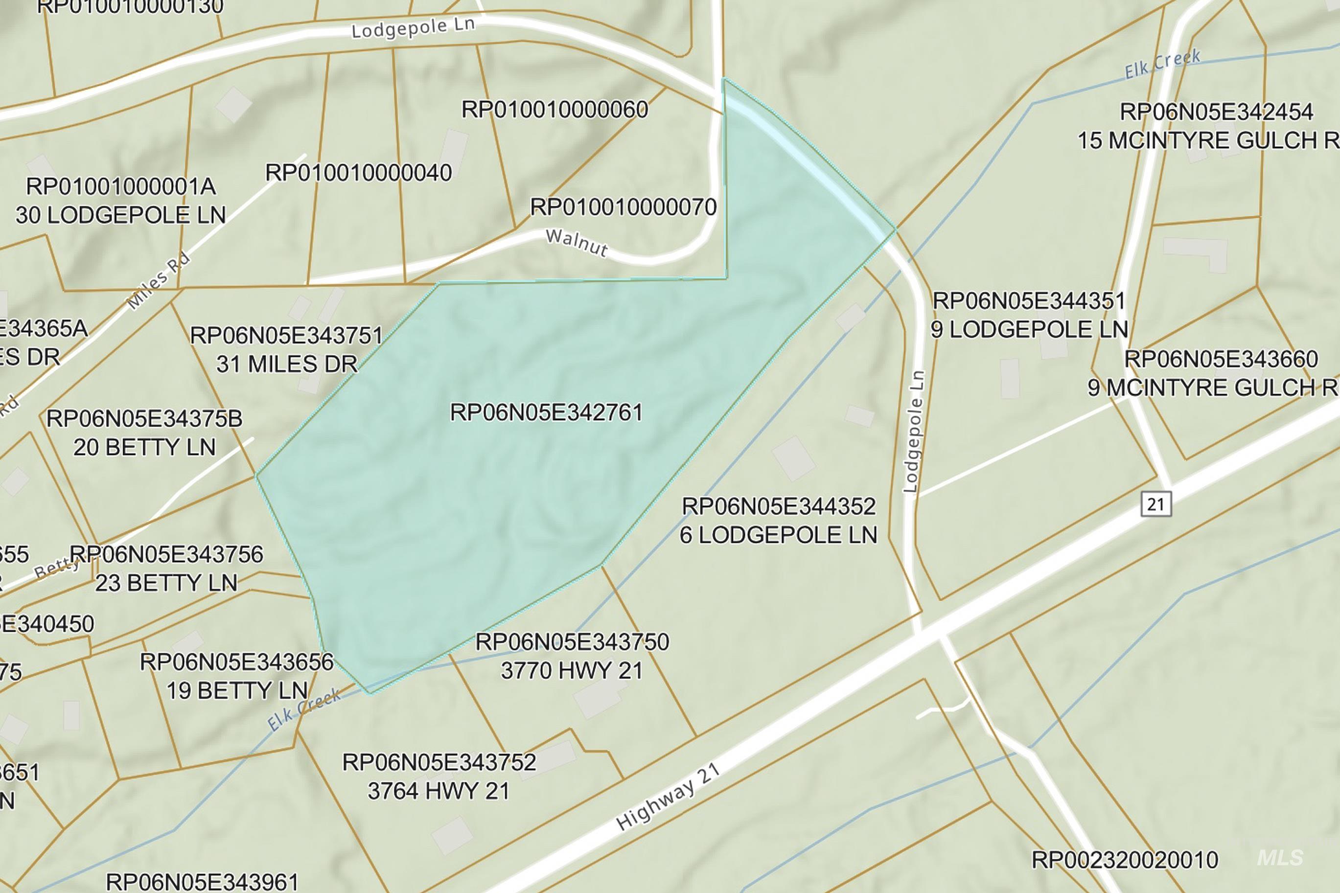TBD Lodgepole Lane, Idaho City, Idaho 83631, Land For Sale, Price $700,000,MLS 98976208