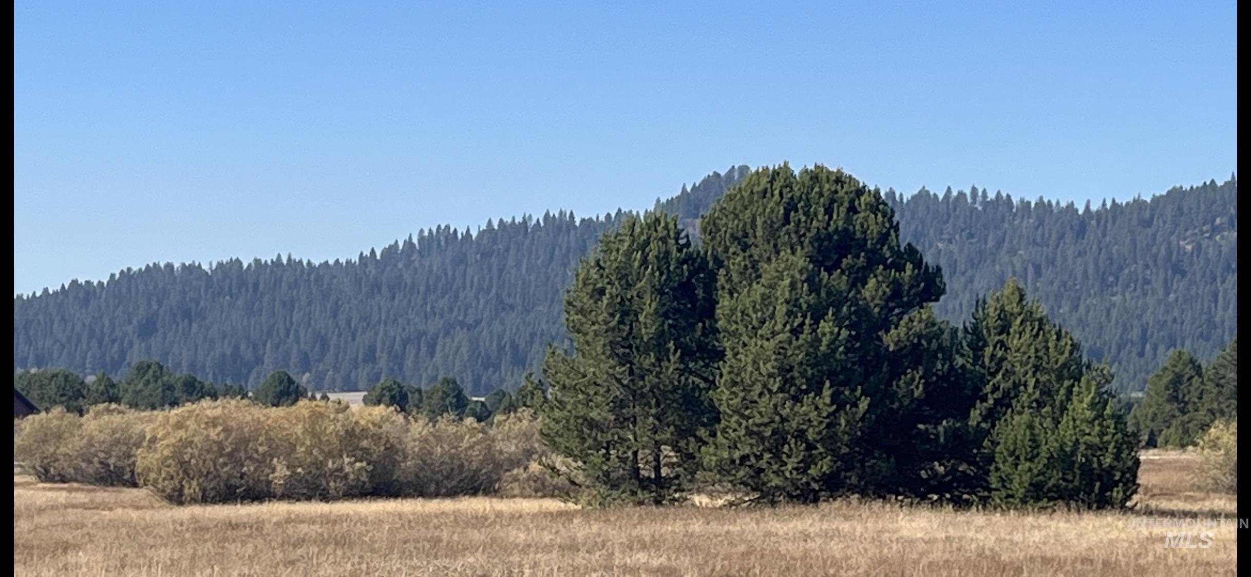 100 Herrick Lane, Cascade, Idaho 83611, Land For Sale, Price $127,000,MLS 98976232