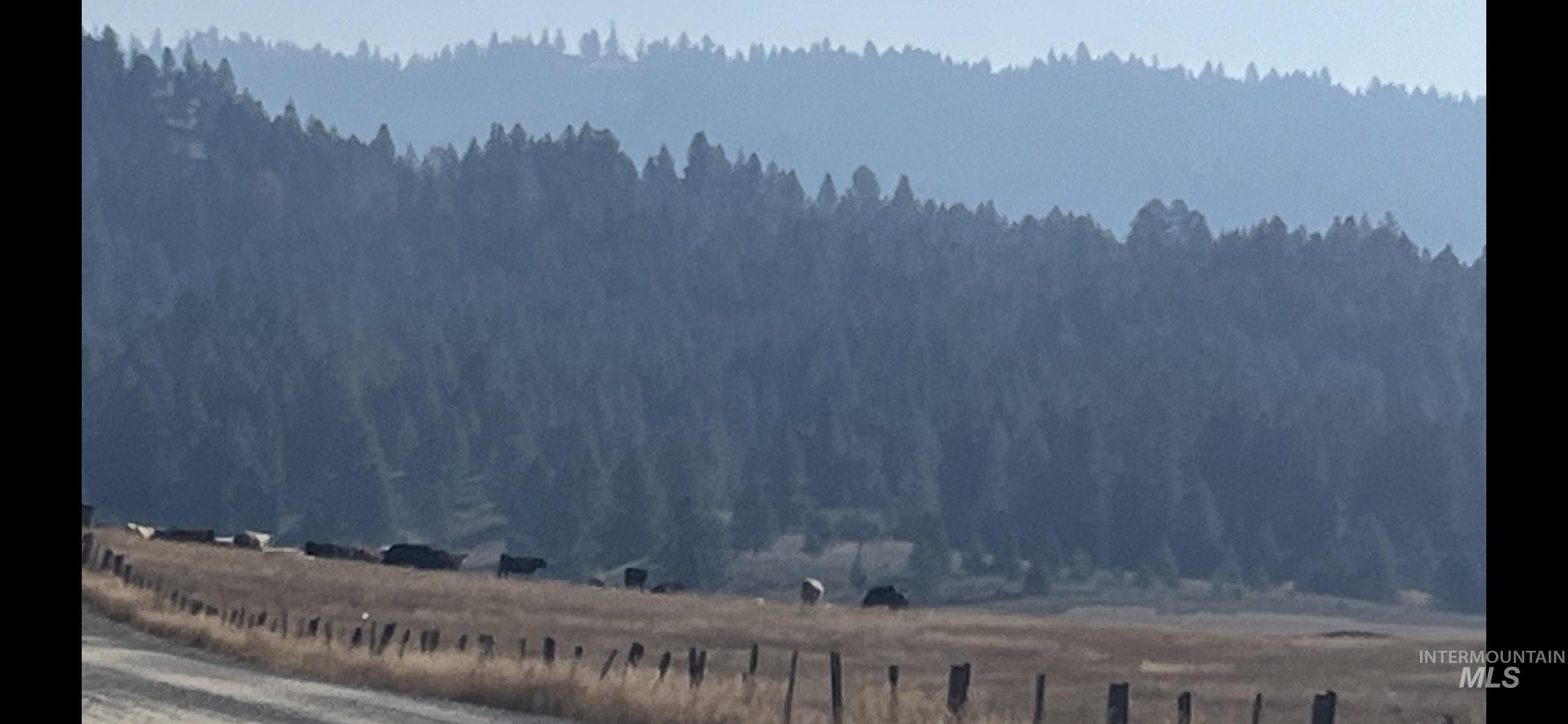 100 Herrick Lane, Cascade, Idaho 83611, Land For Sale, Price $127,000,MLS 98976232