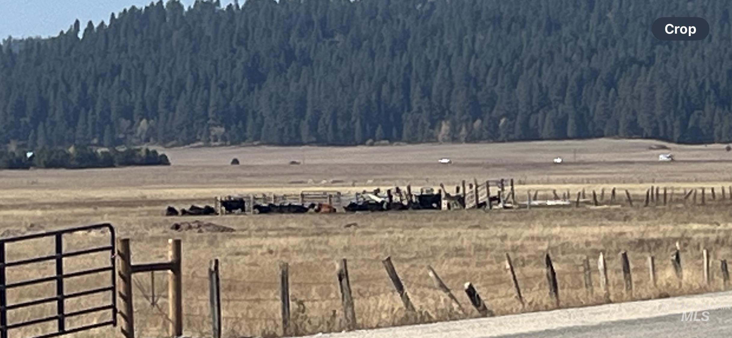 100 Herrick Lane, Cascade, Idaho 83611, Land For Sale, Price $127,000,MLS 98976232